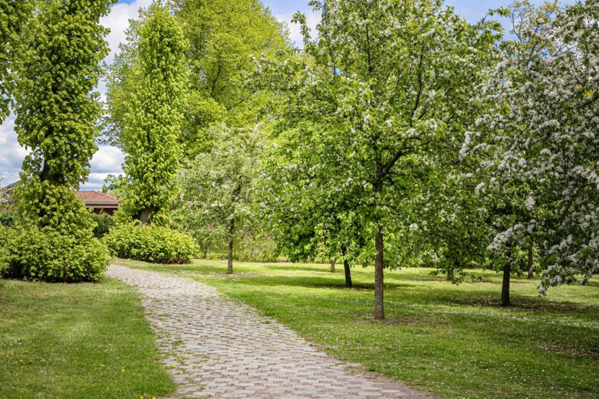 Tre Kungars Lund