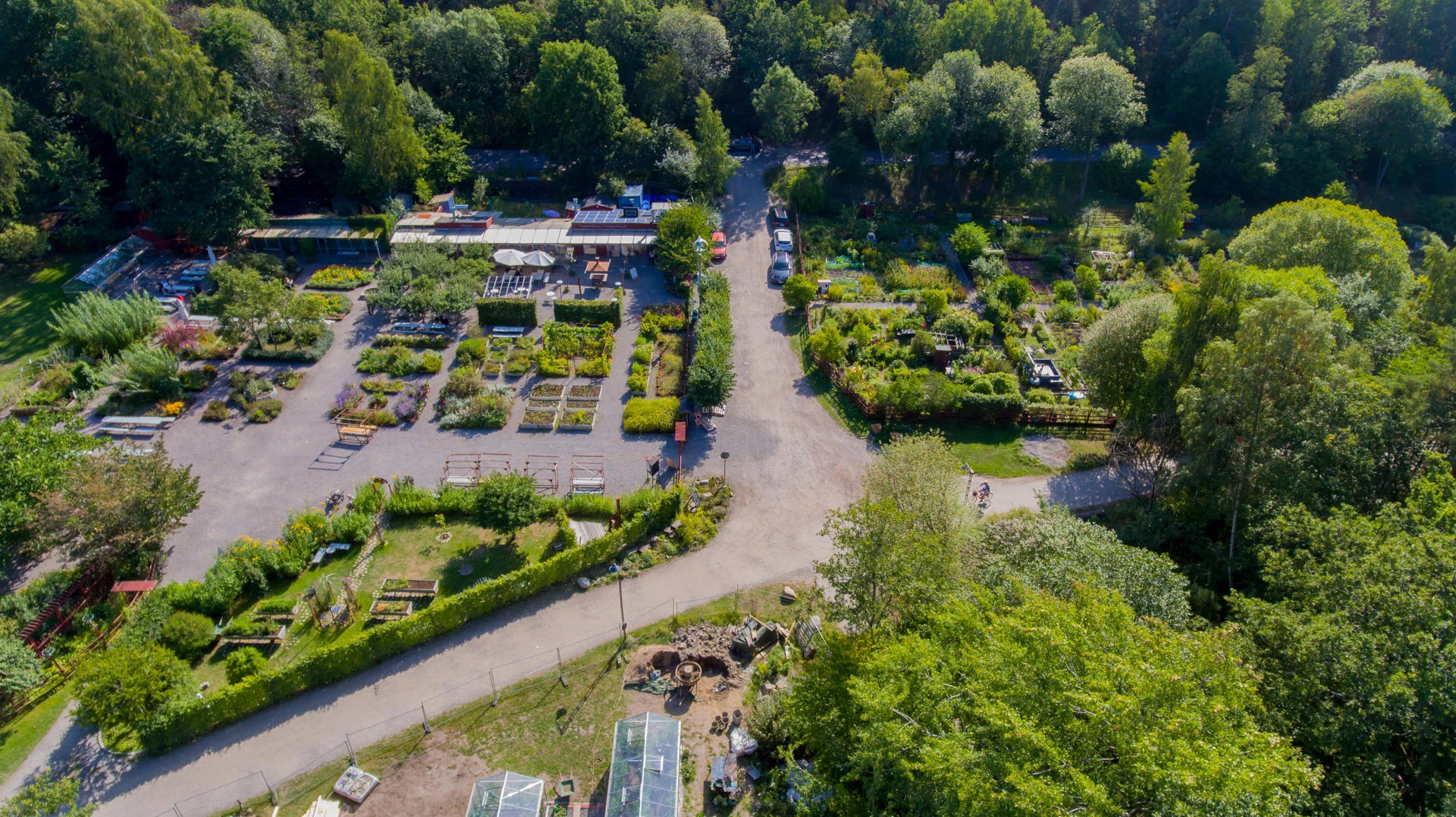 Vintervikens trädgård