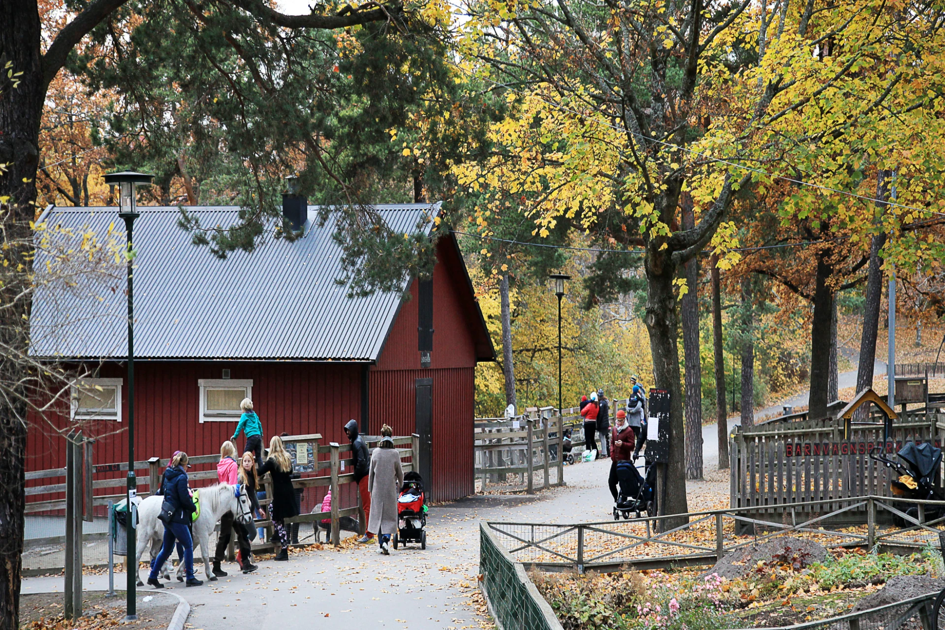4H gård med ponnyridning i Aspudden