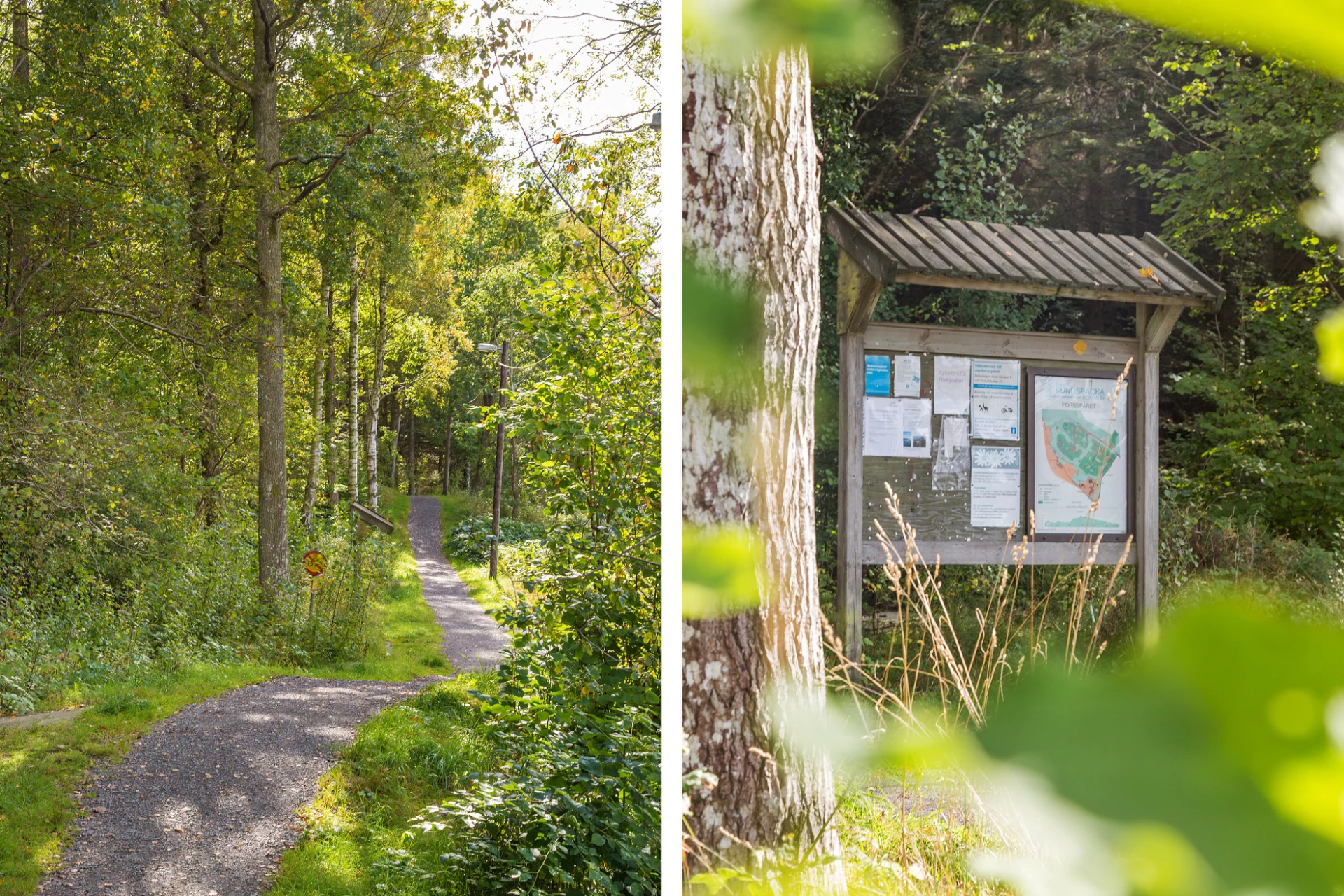 Härliga promenadstråk vid Forsslingan