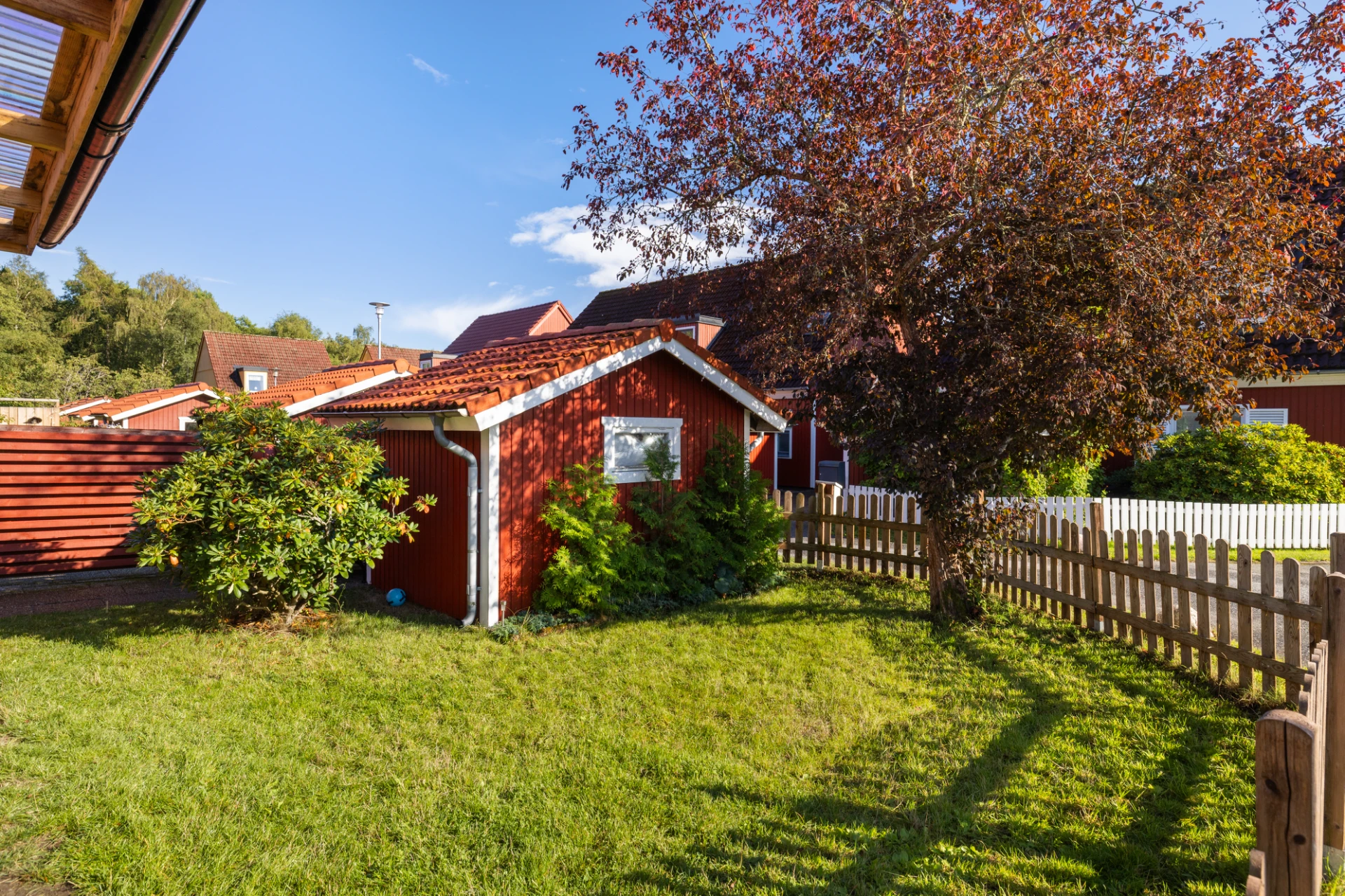 Gräsmatta och grönska