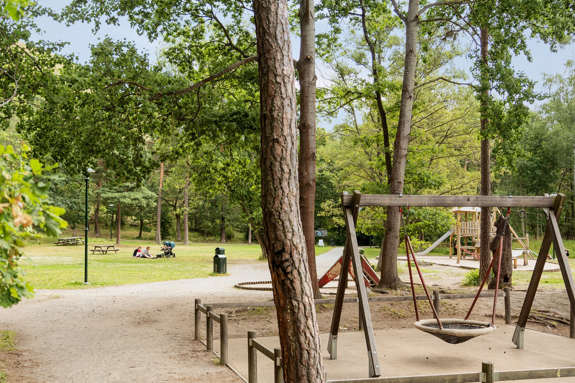 Nackareservatet Hammarbyskogen