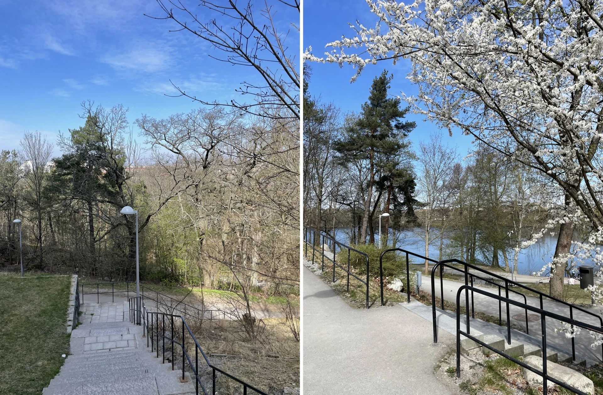 Naturen utanför porten