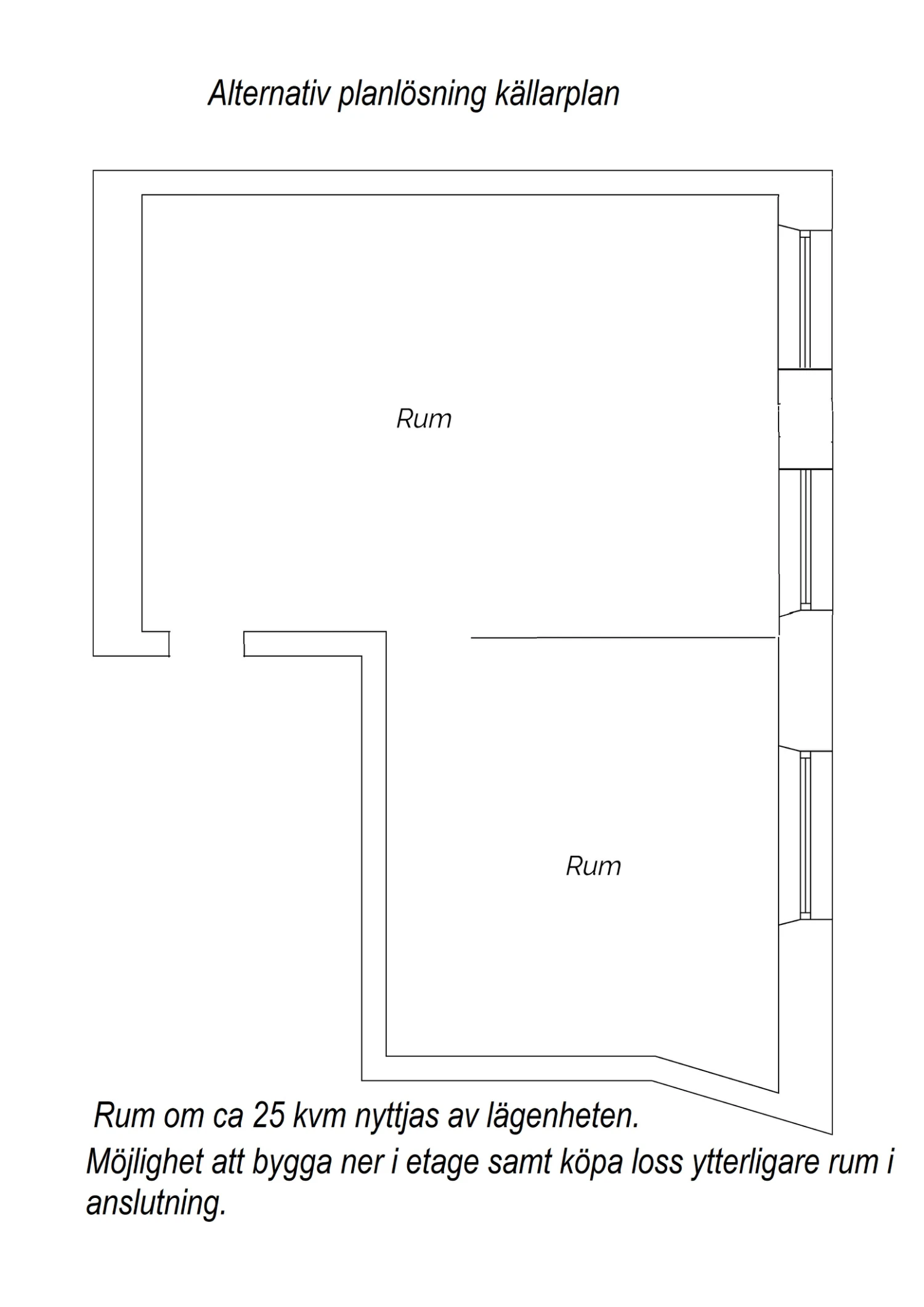 Alternativ planlösning källarplan