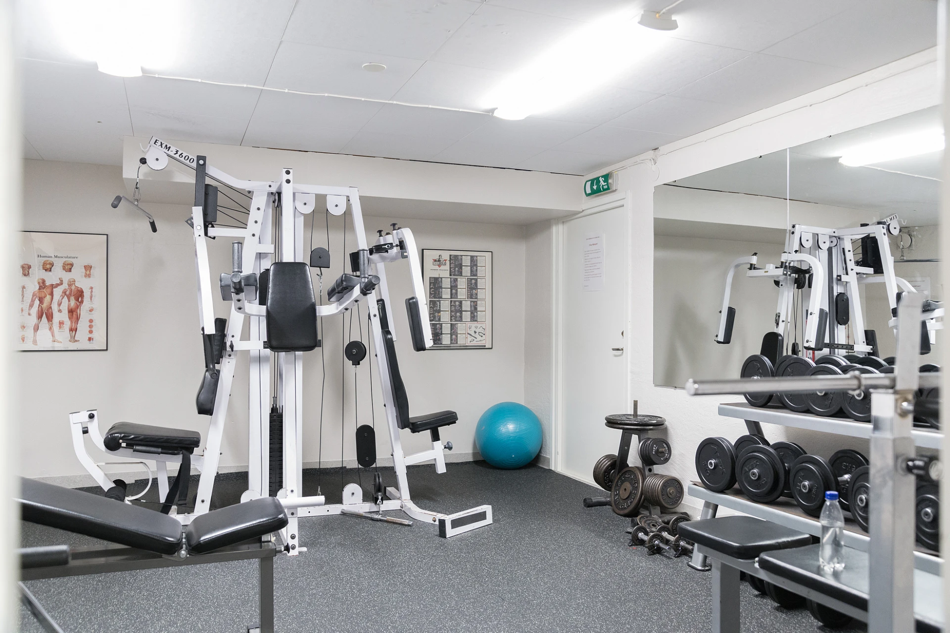 Gym i föreningen