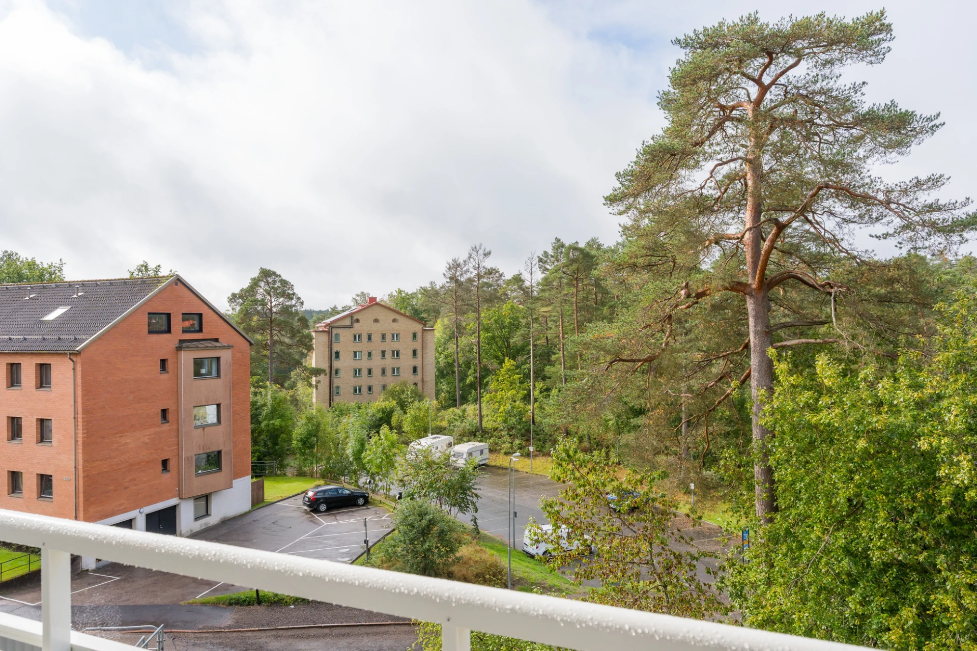 Utsikt över trätopparna samt närhet till sjön kolbränningen.