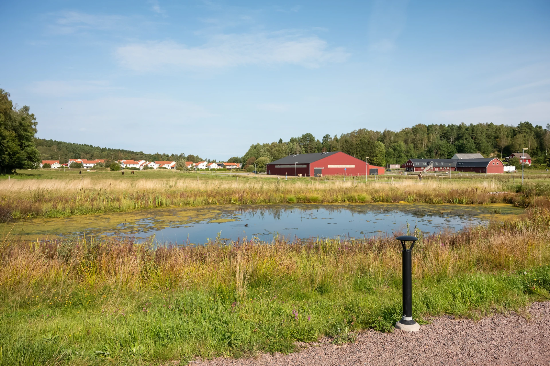 Dammen i Nordtag