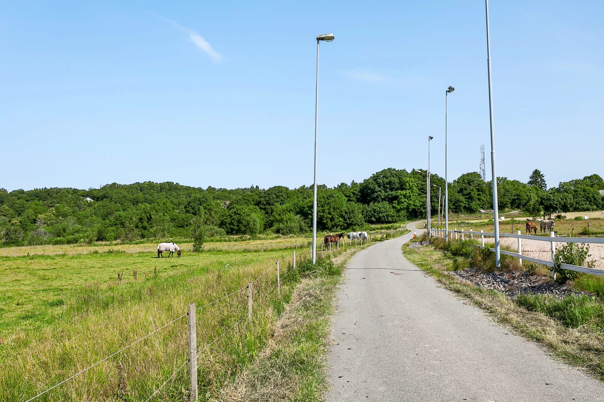 Natursköna strövområden i nära anslutning