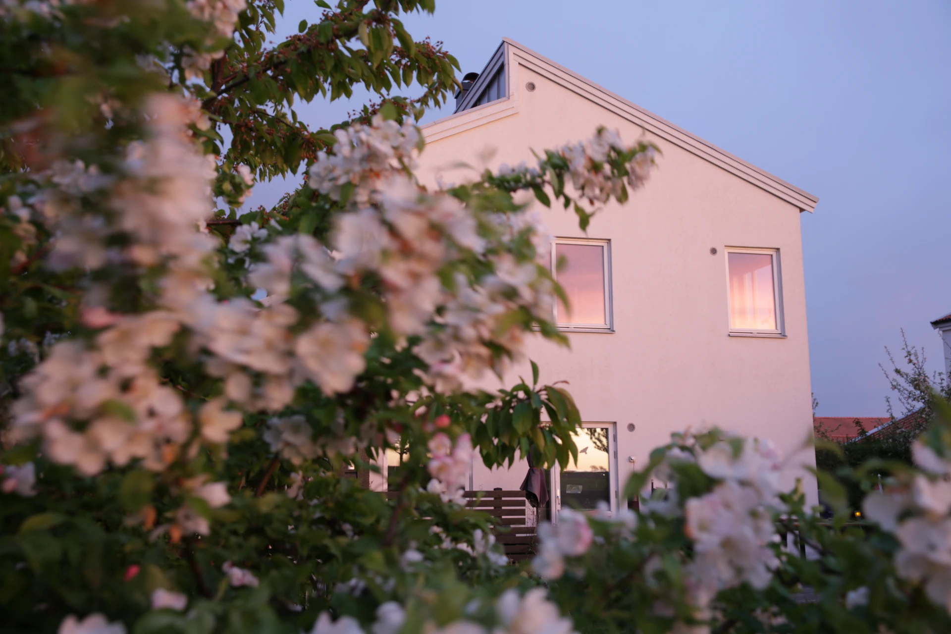 Säljarens bild