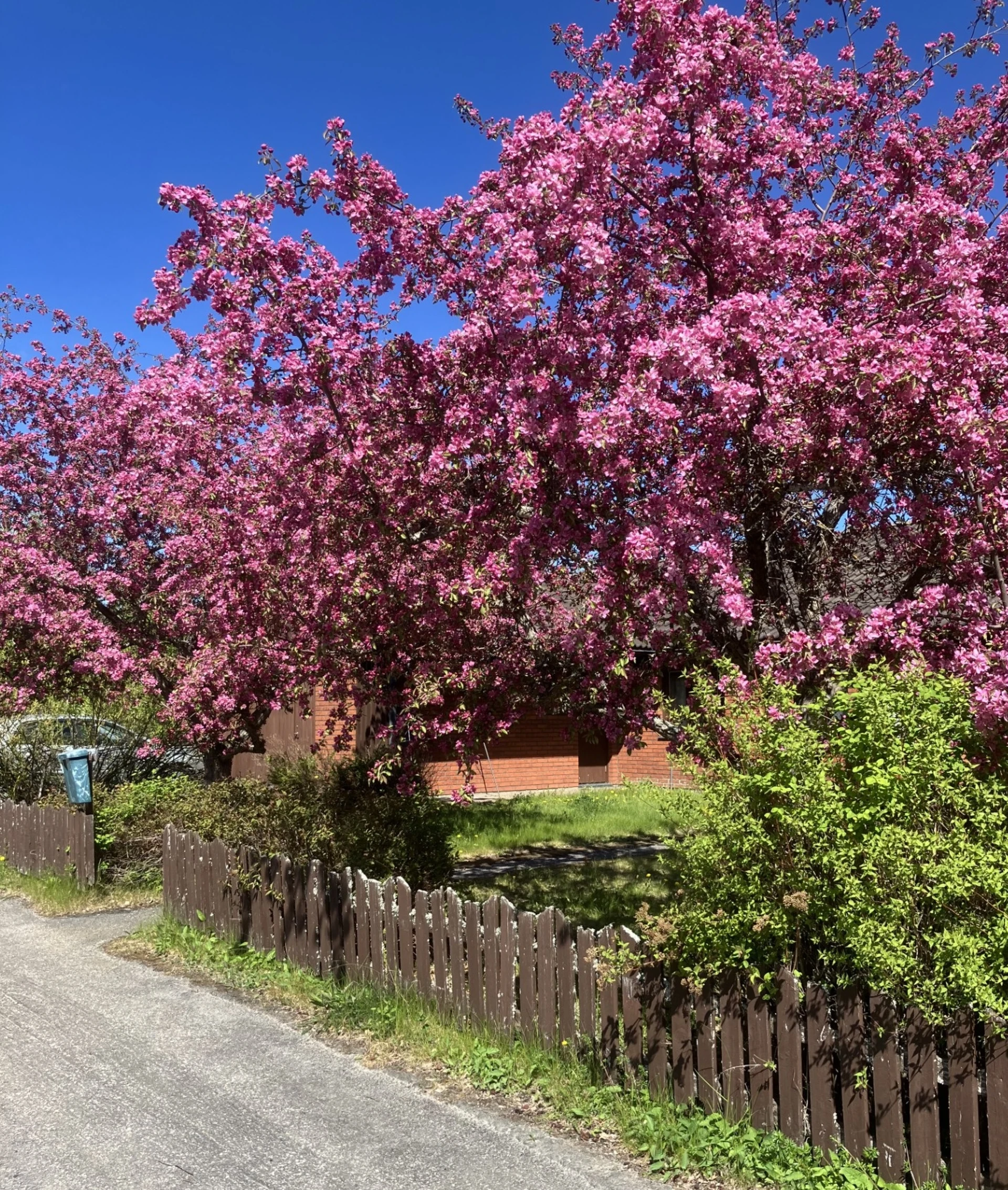 Säljarens egen bild