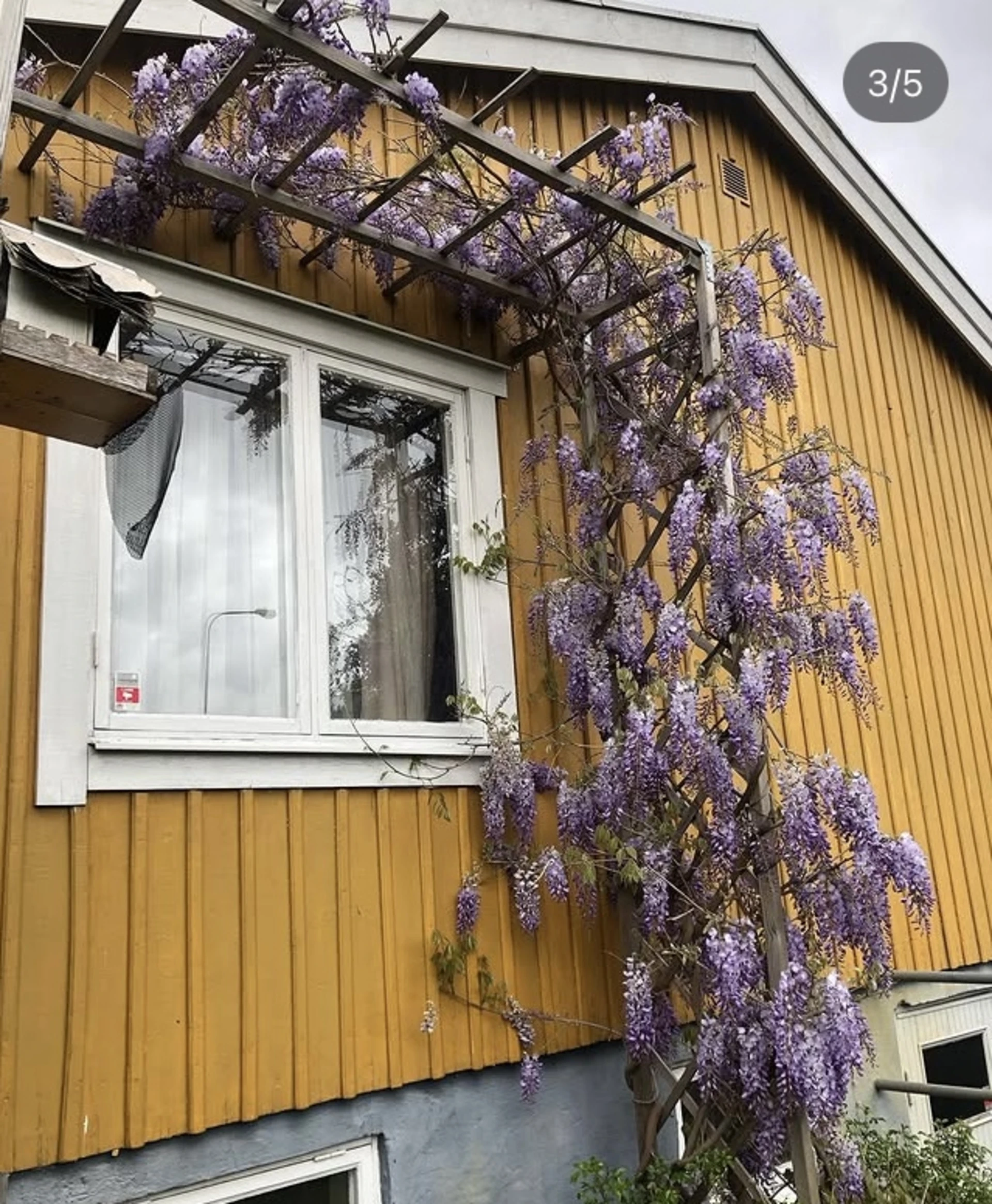 Ägarnas egna bild