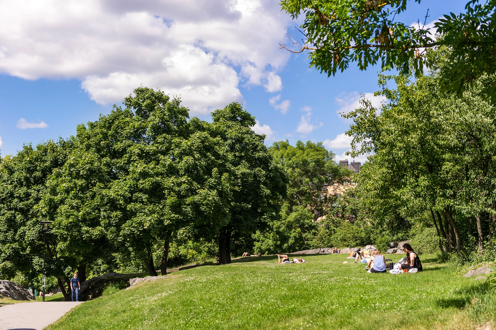 Högalidsparken sommartid