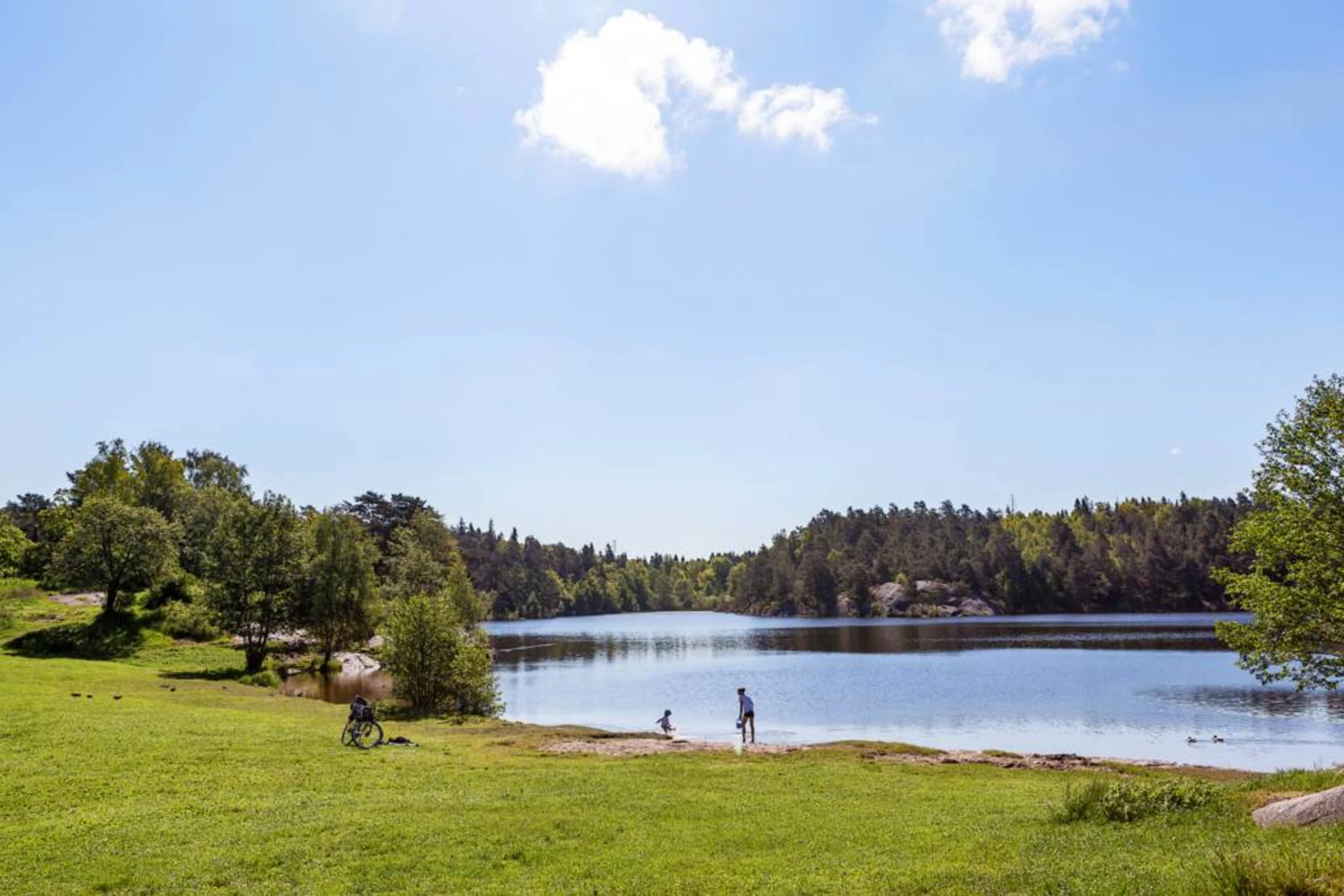 Lågupplöst Nackareservatet