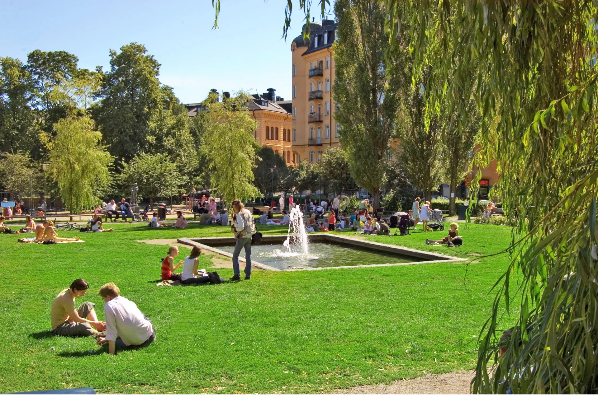 Oasen vid Nytorget är underbar att ha picnic i