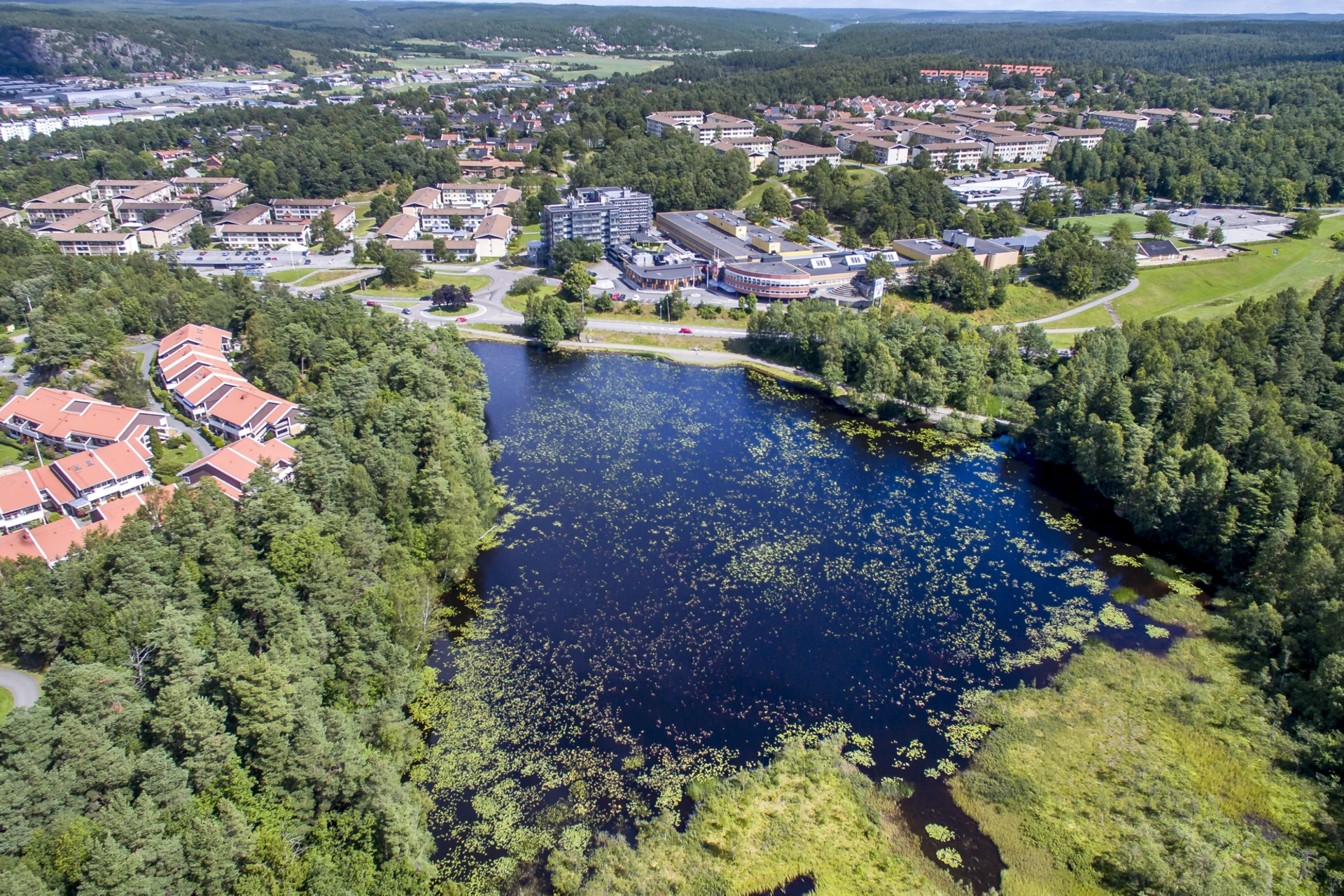 Björndammen