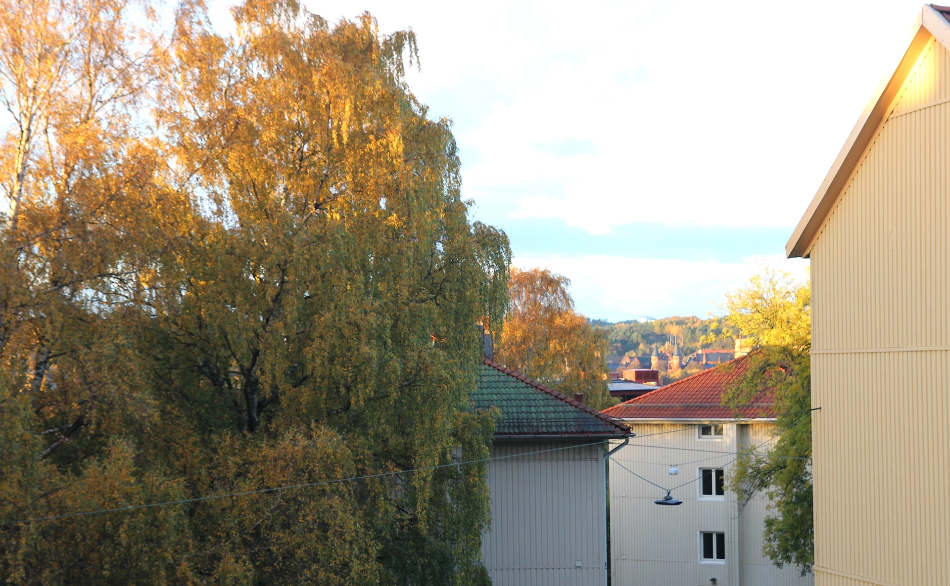 Säljarens egna bild