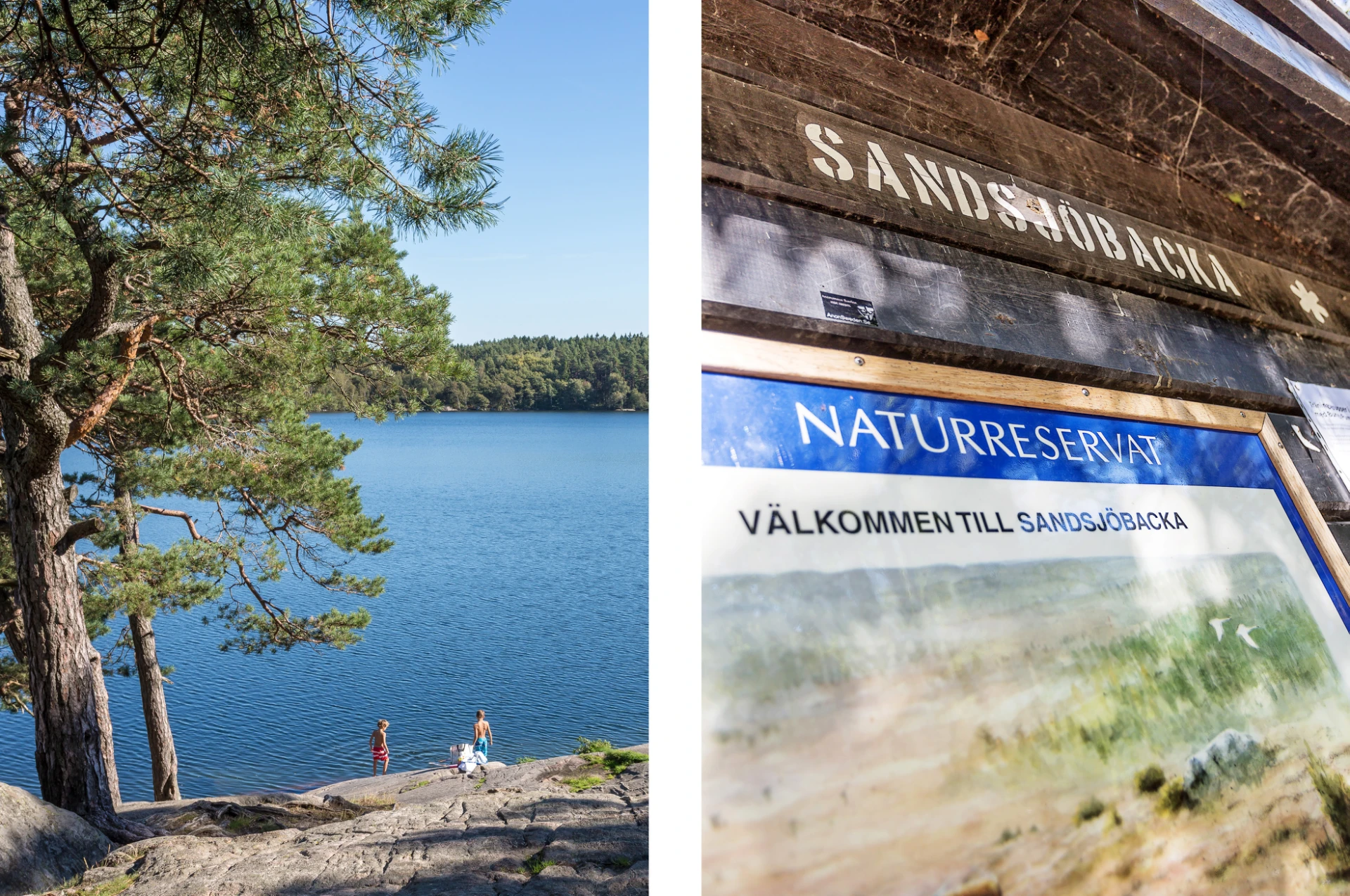 Sandsjöbacka naturreservat