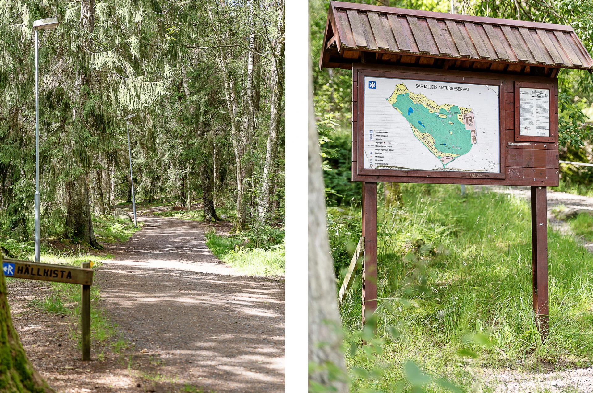 Fina promenadvägar i Safjällets naturreservat