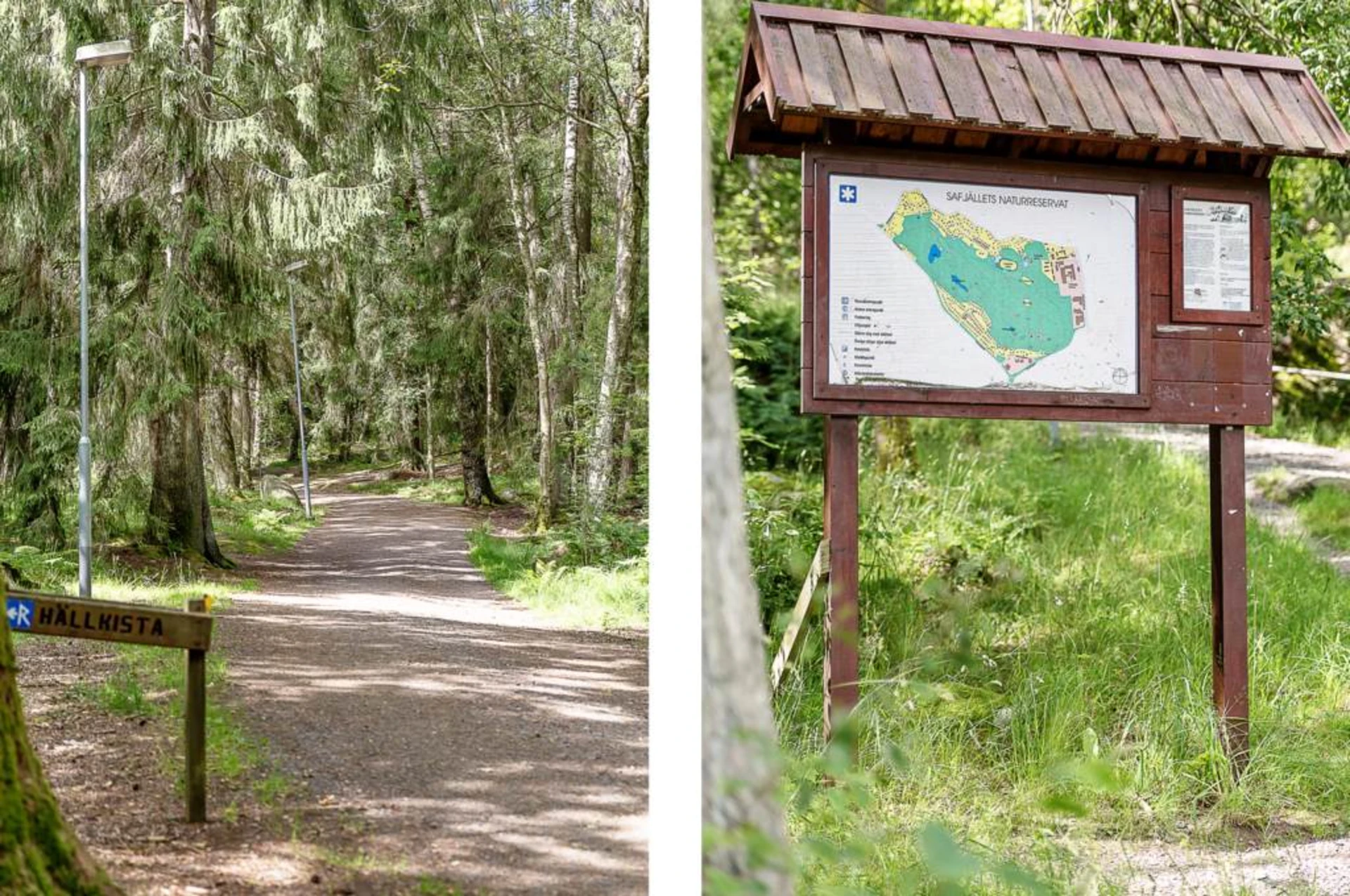 Fina promenadvägar i Safjällets naturreservat