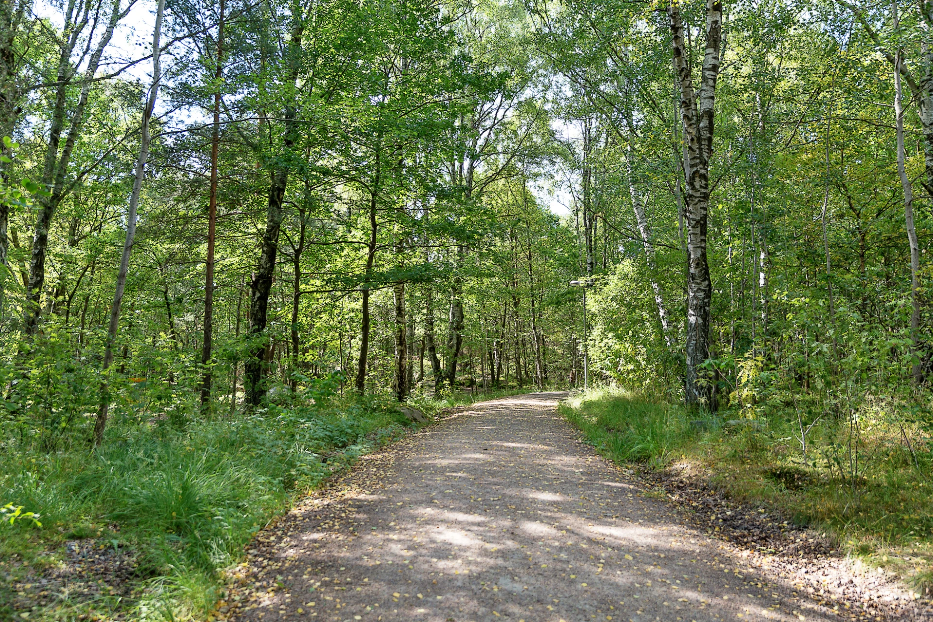 Promenadslingor runt Ruddalen