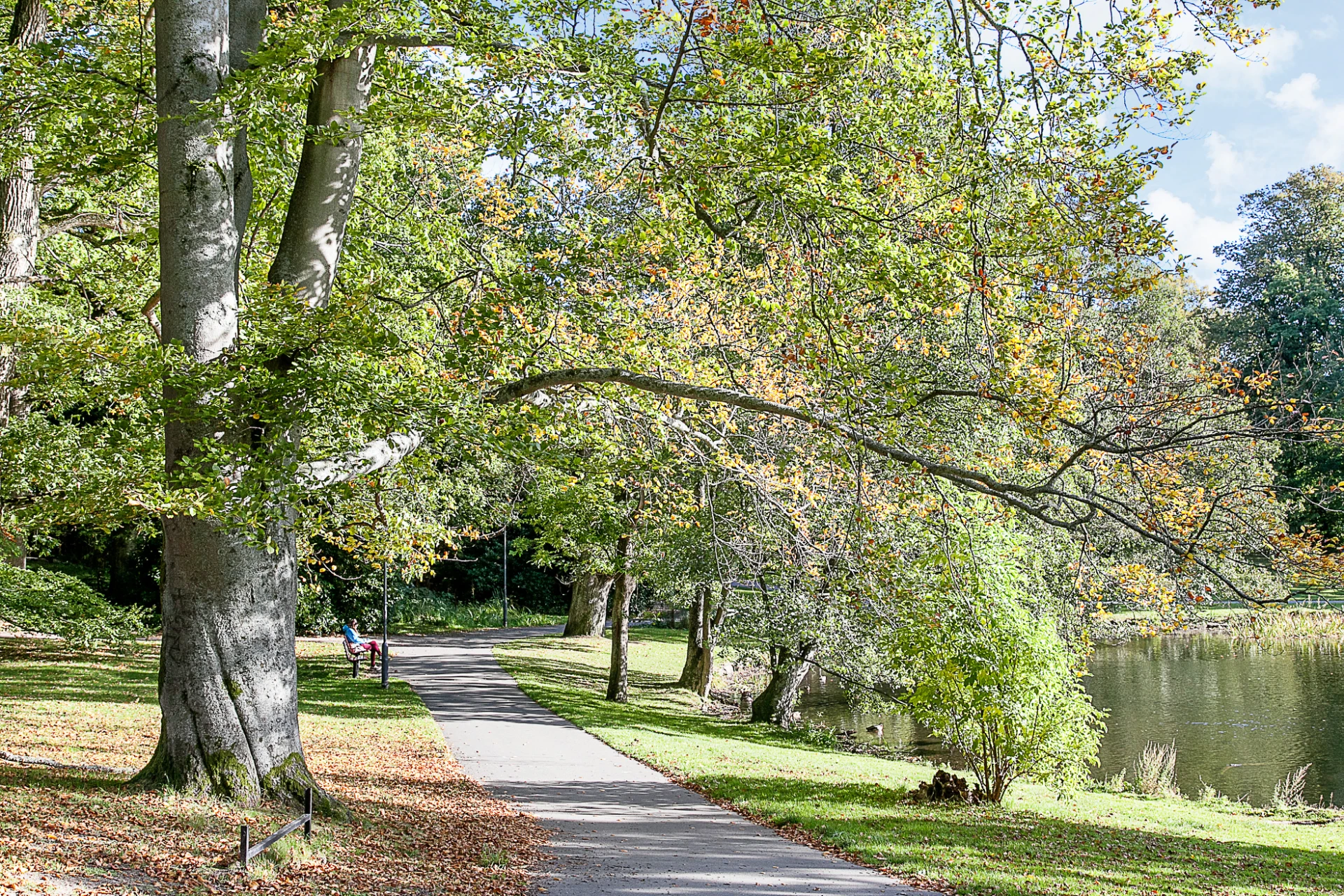 Kort promenad till Slottsskogen med stora grönområden