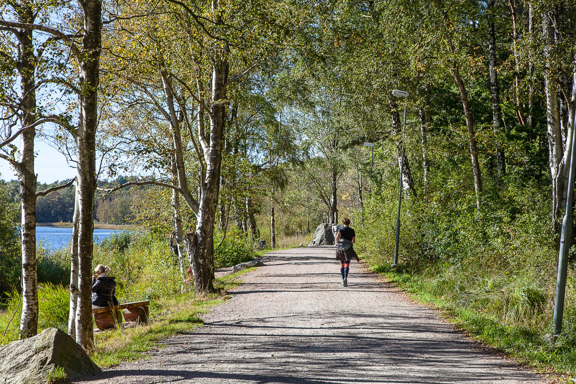 Härlanda Tjärn