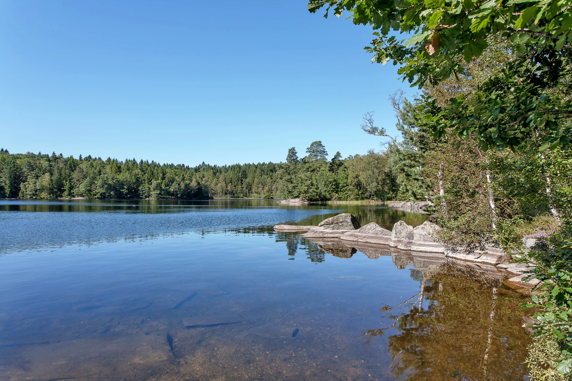 Härliga badplatser vid Kåsjön