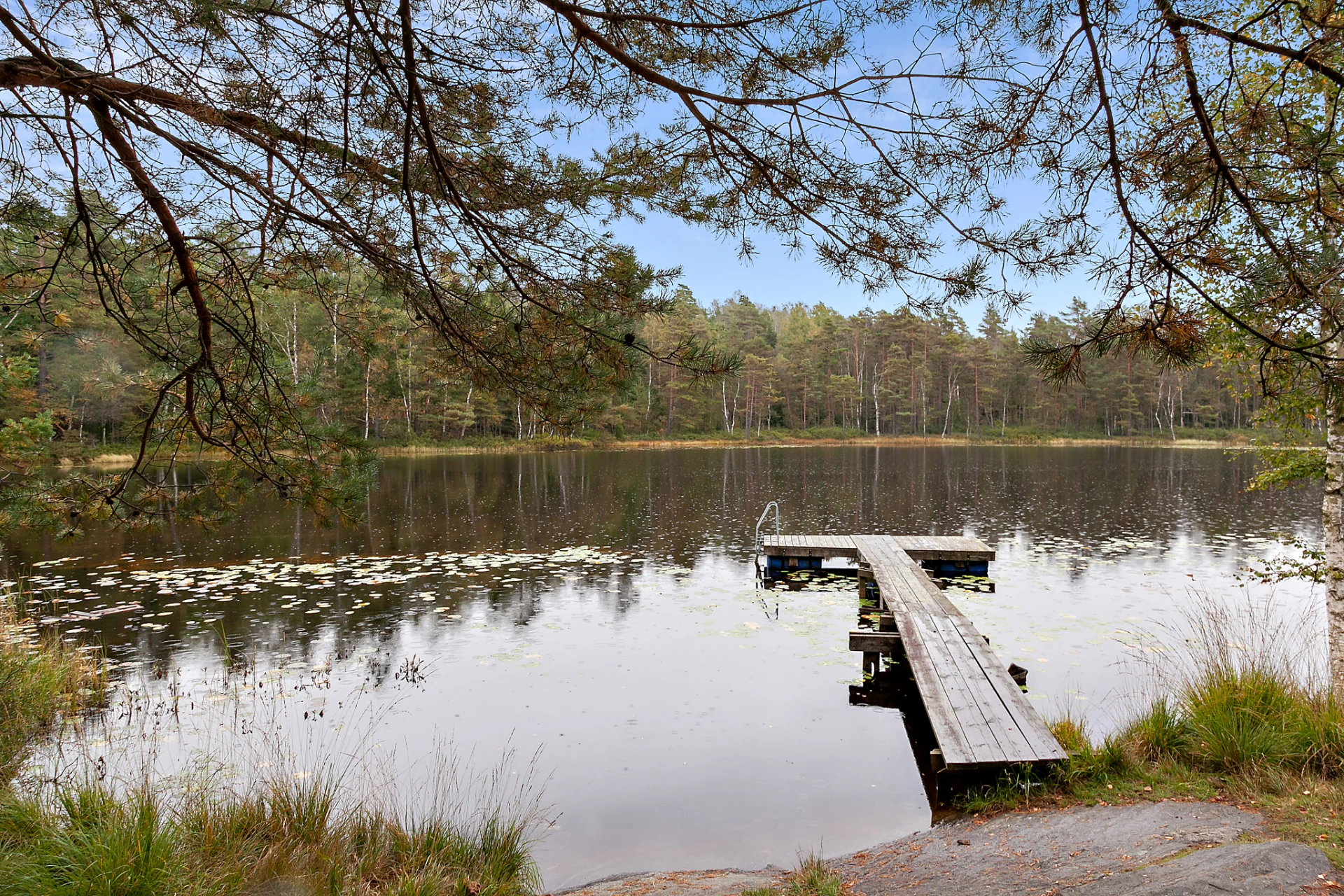 Badplats vid sjön Horssöcket