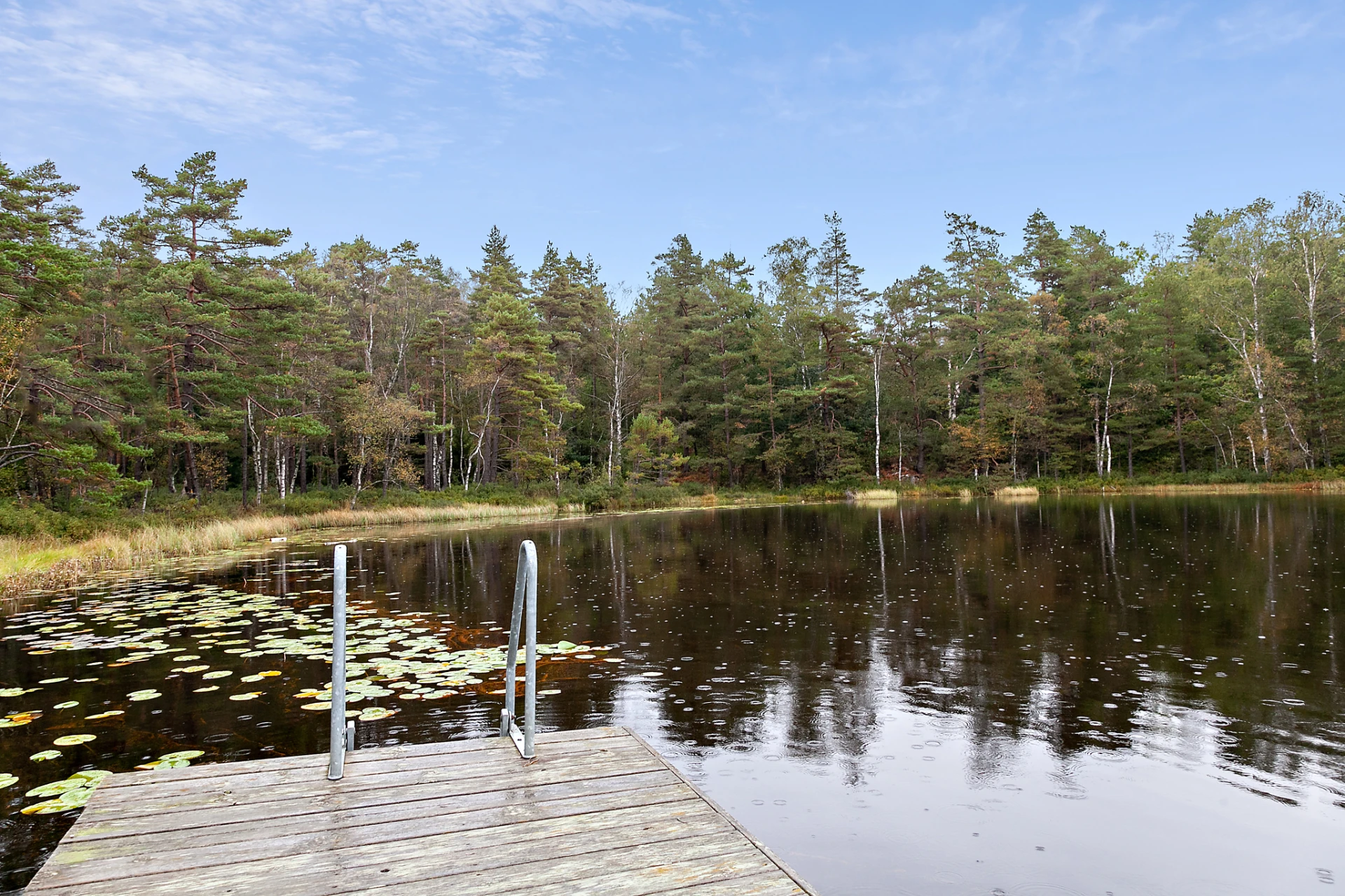 Badplats vid sjön Horssöcket