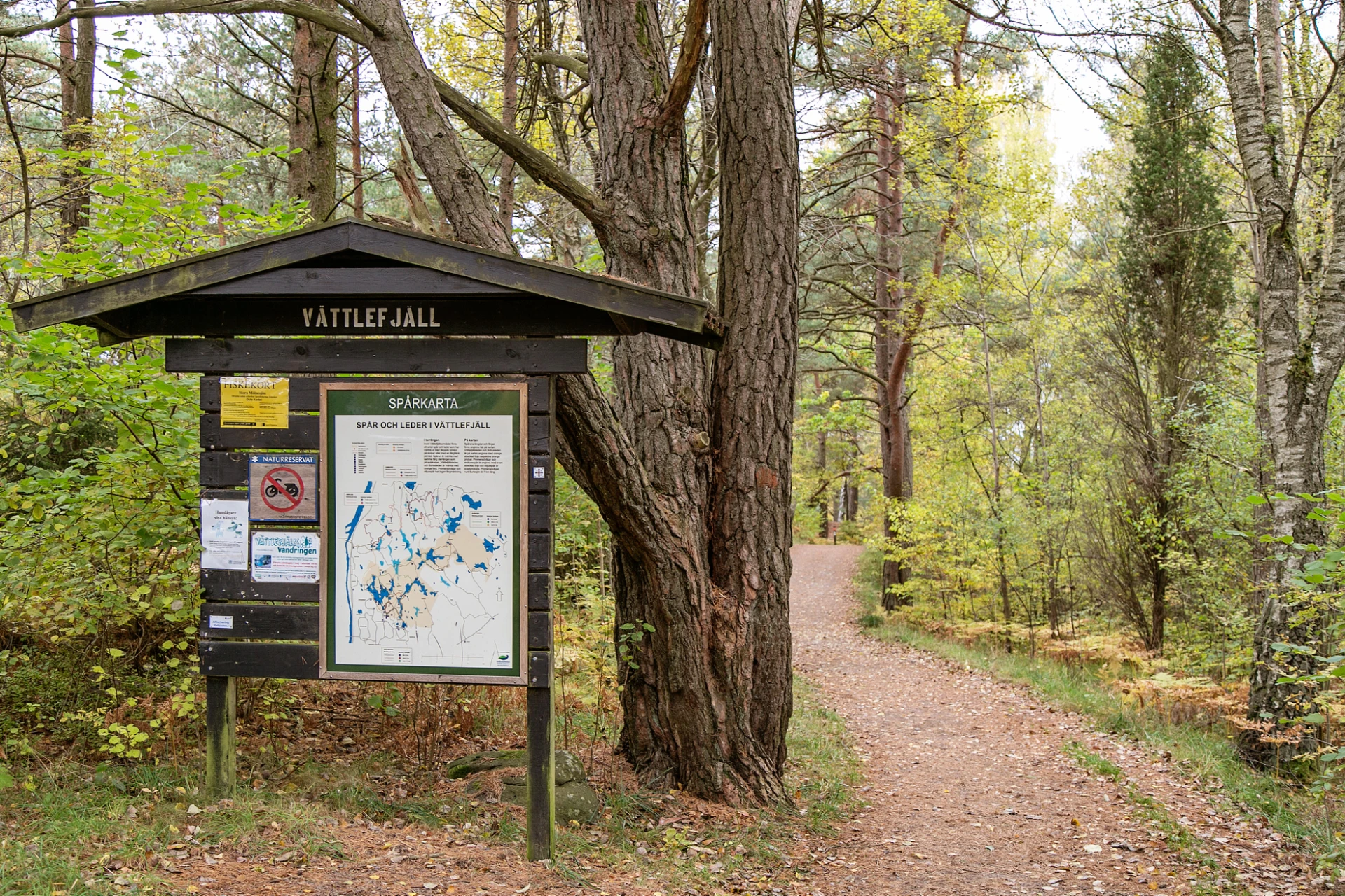 Vättlefjäll