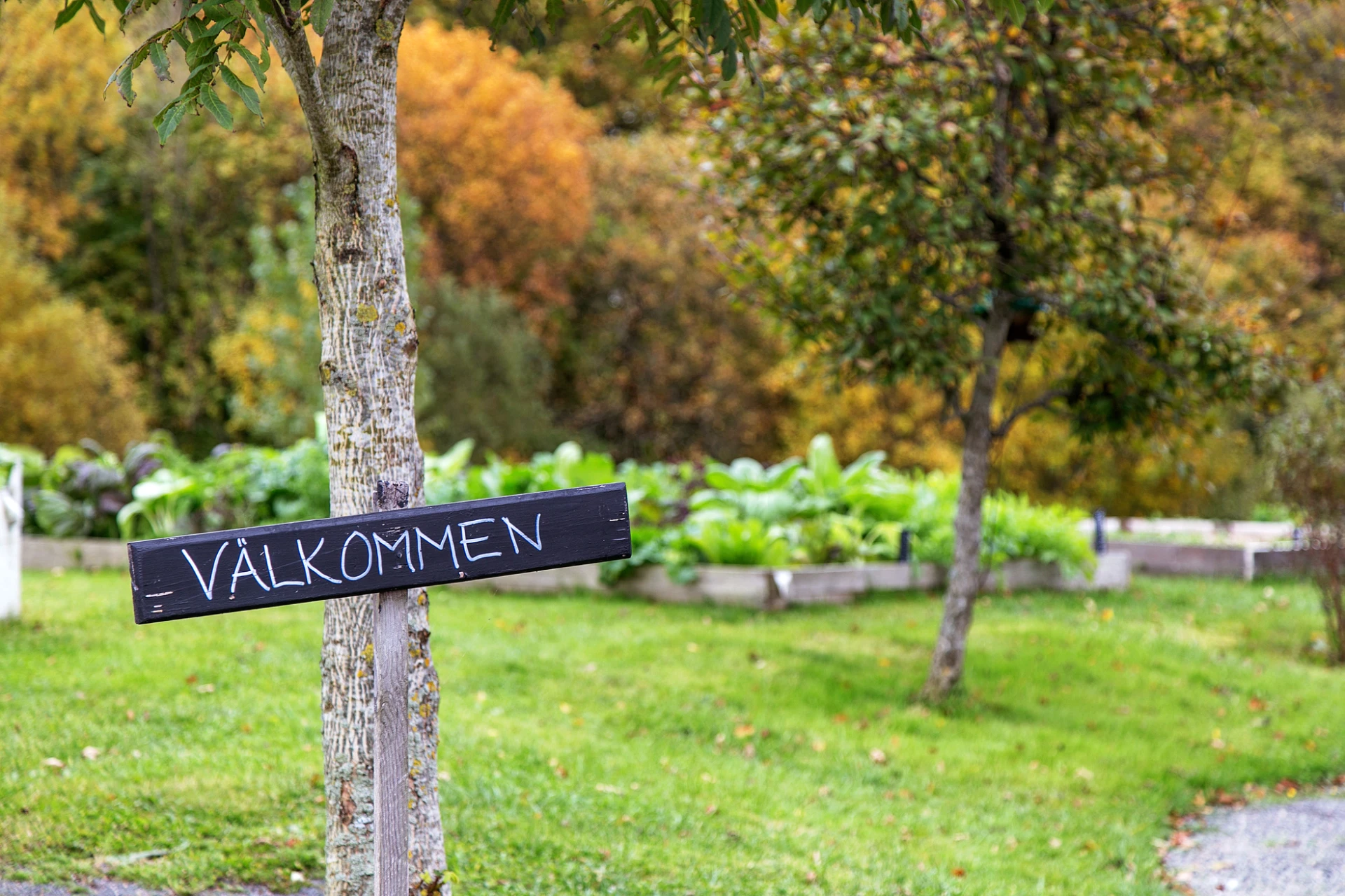 Lärjedalens trädgårdar