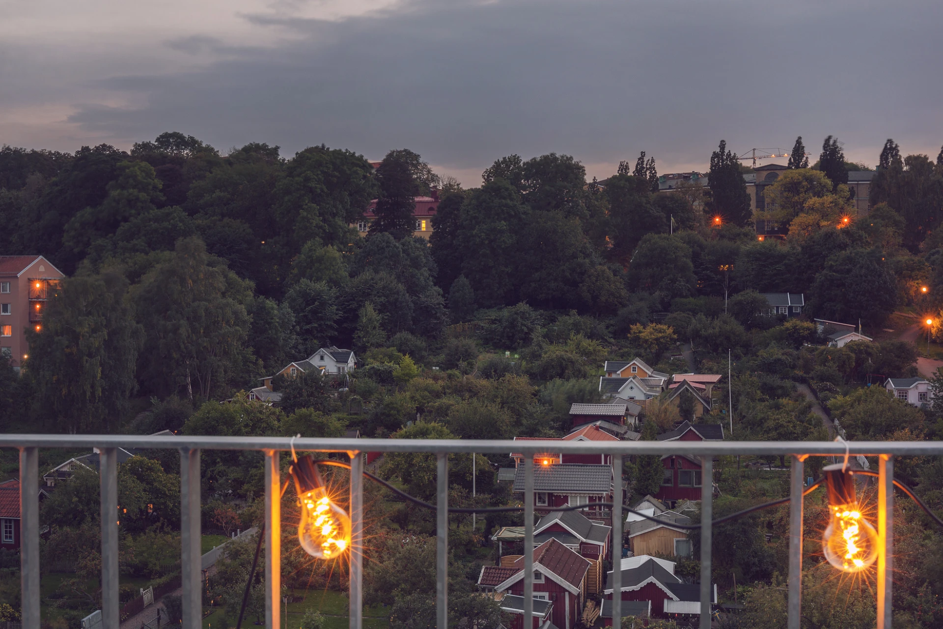 Utsikt över kolonilotterna