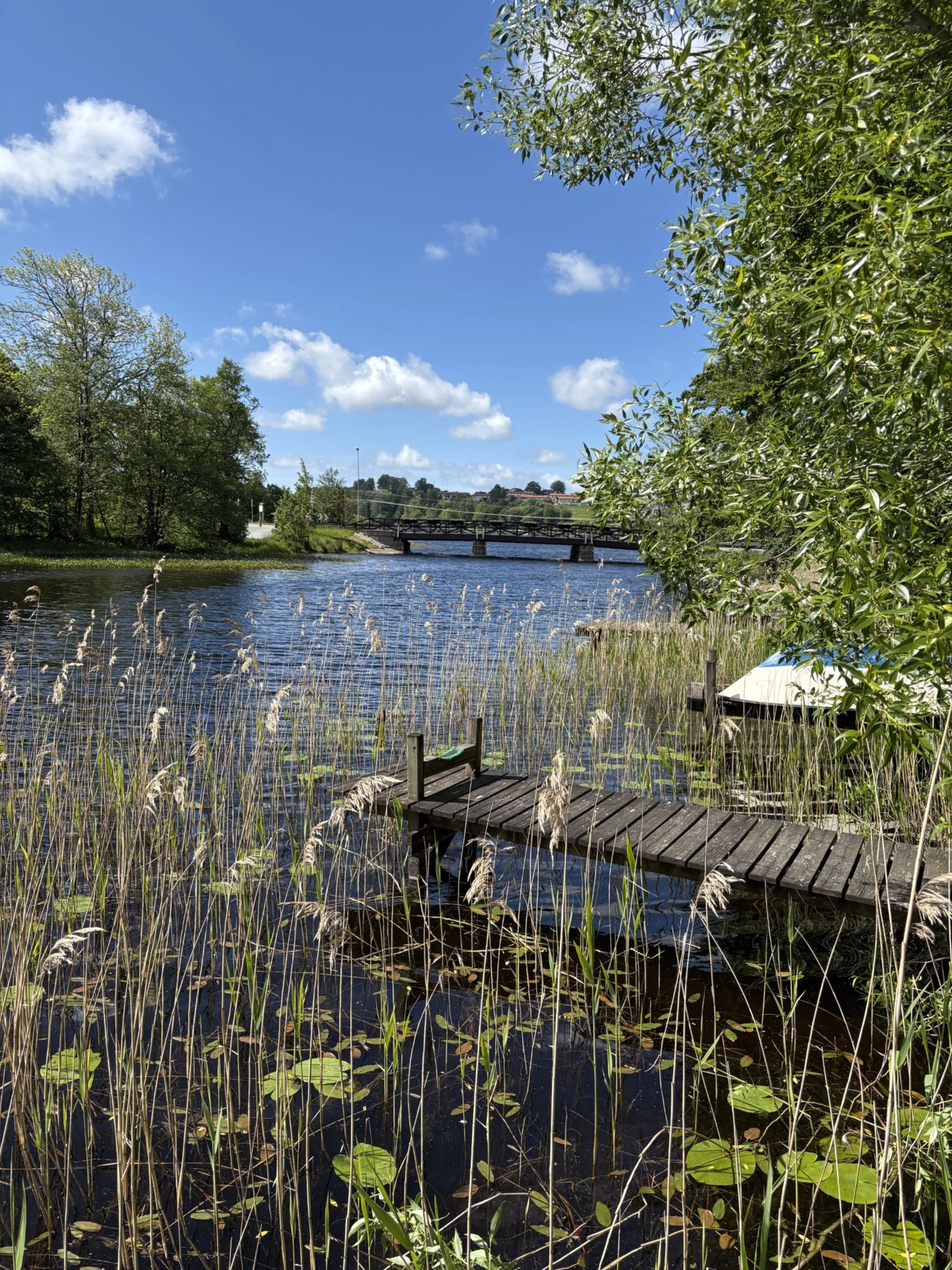 Säljarens bild