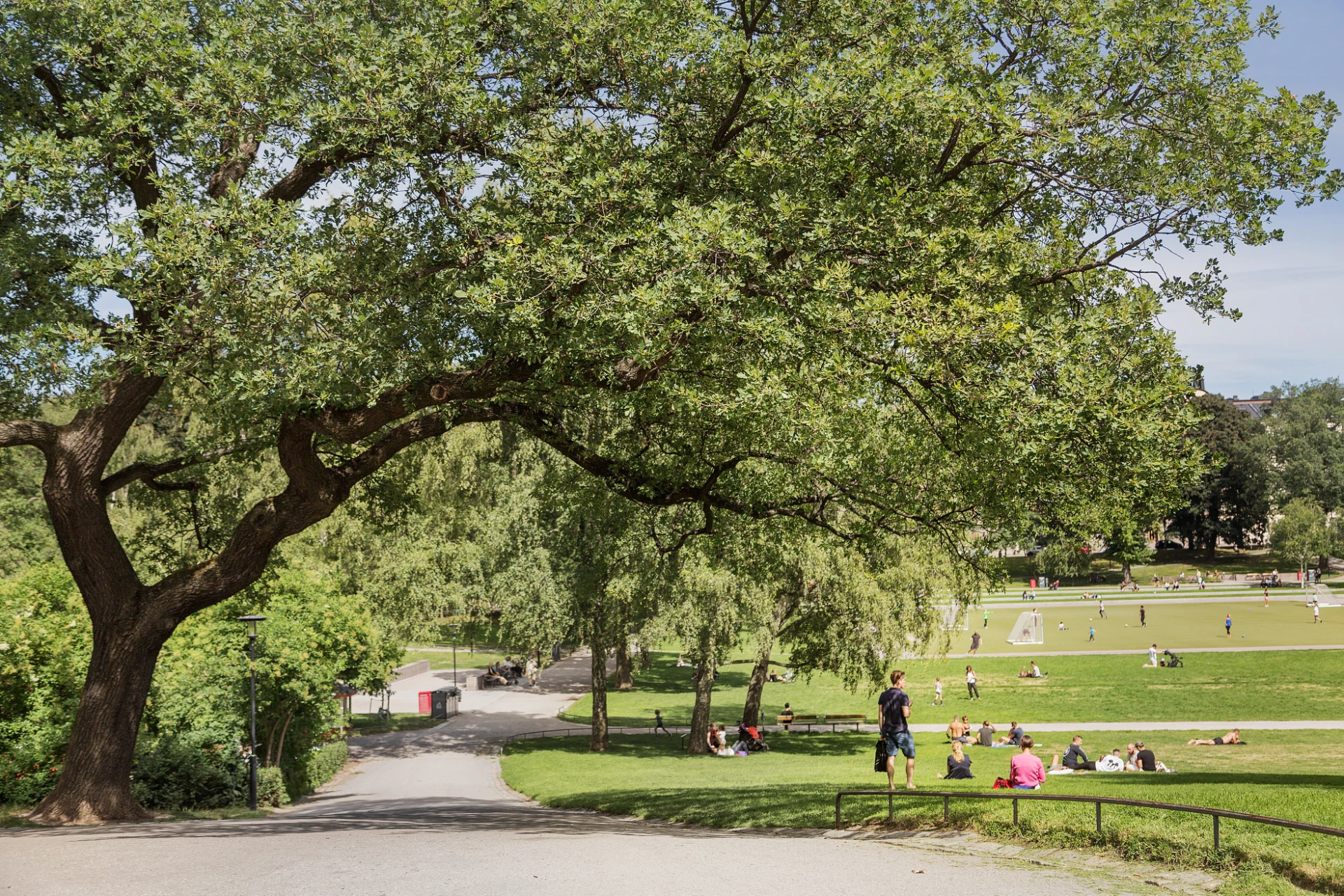 Vasastans lummiga oas Vasaparken precis runt hörnet