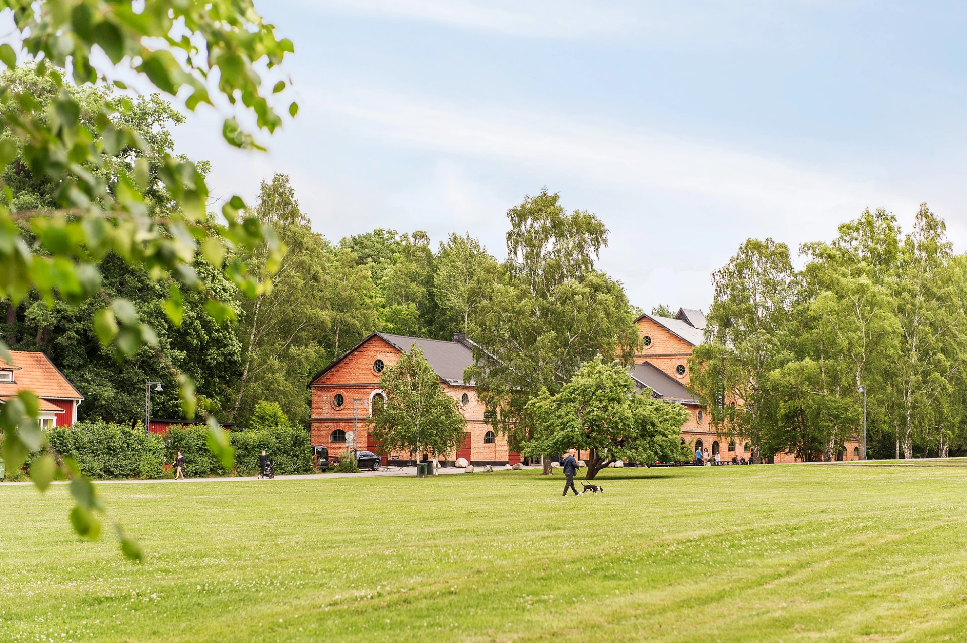 Lummiga Vinterviken