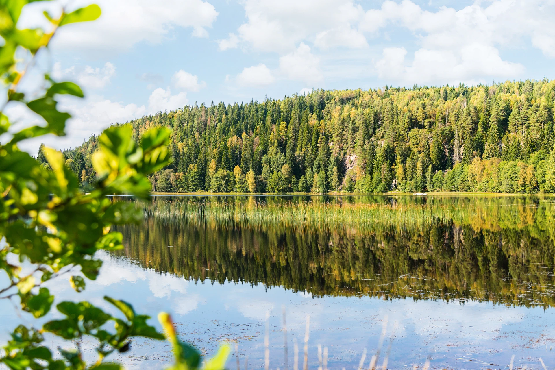 Bollebygd har vackra naturupplevelser och fiskesjöar.