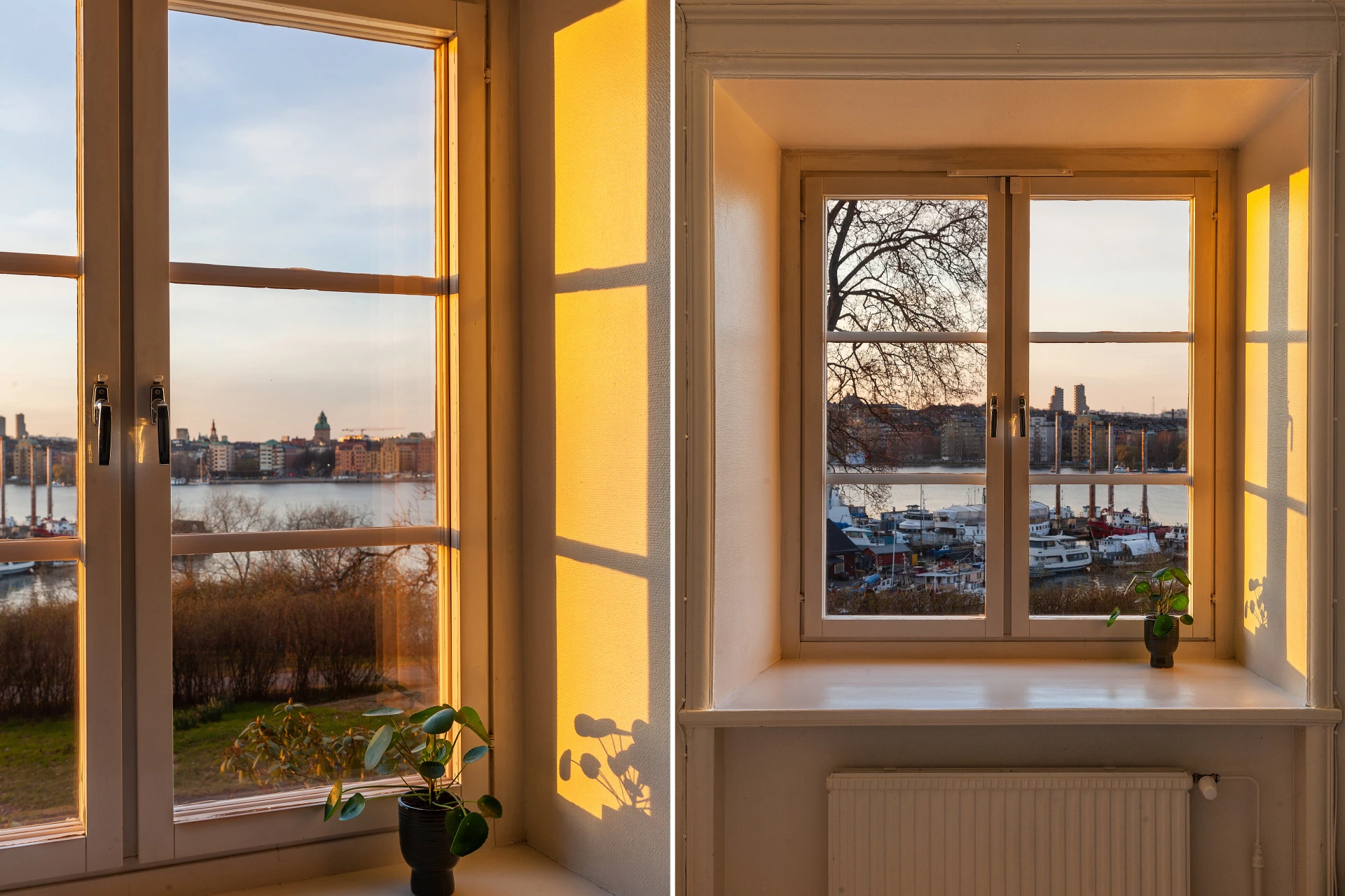 Kvällsljuset är magiskt