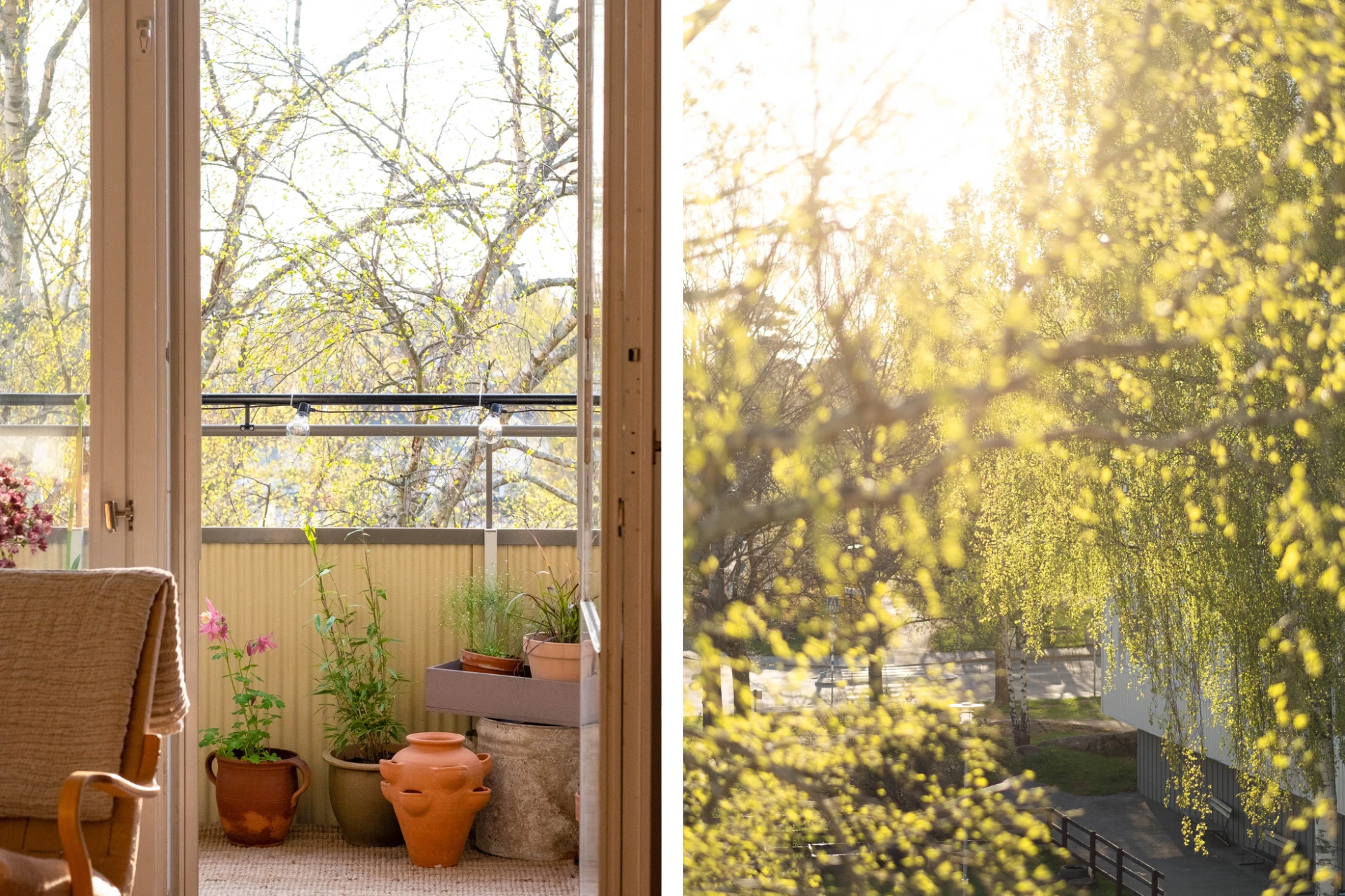 Grönska untanför balkongen