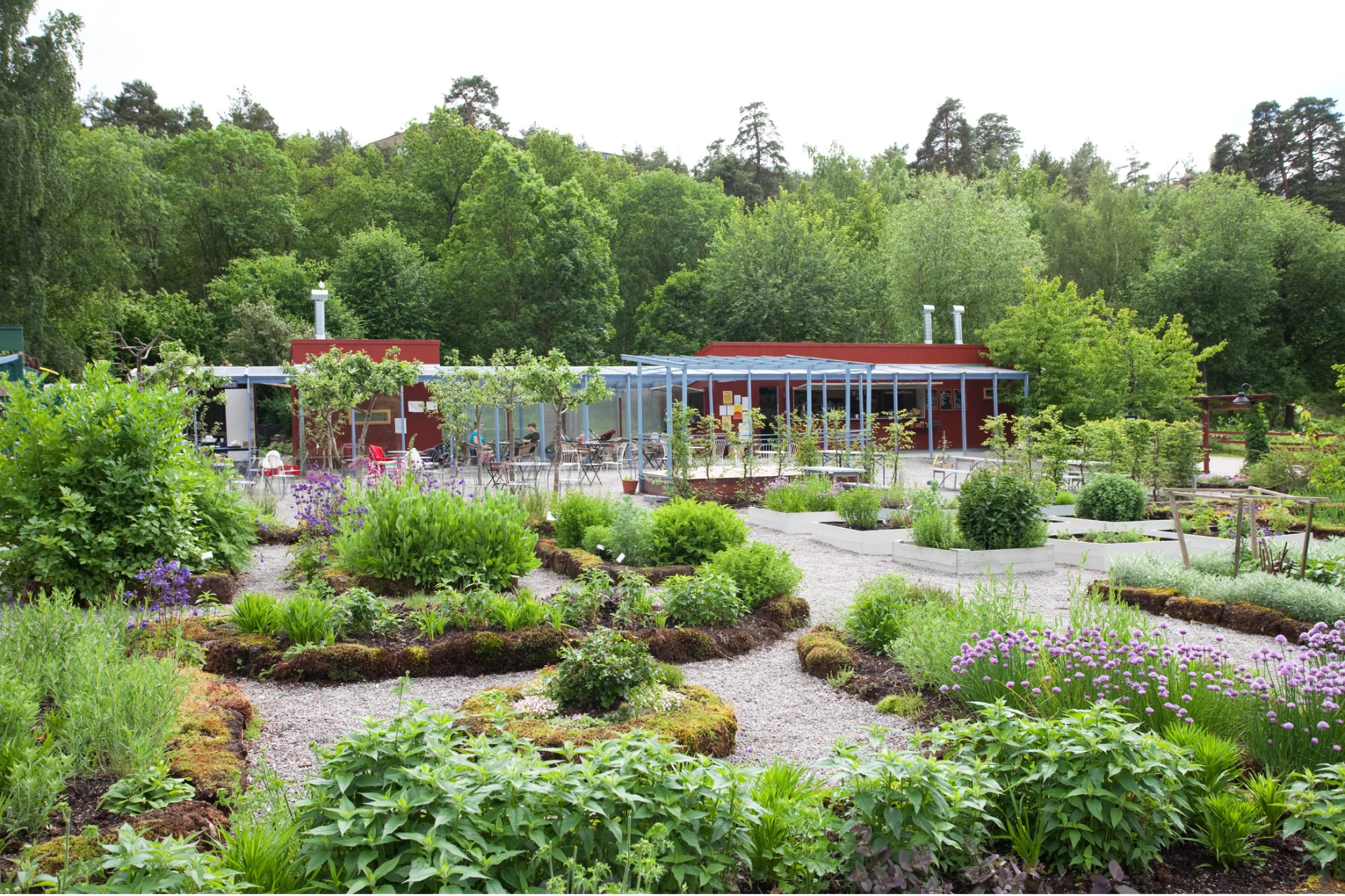 Vintervikens trädgårdscafé