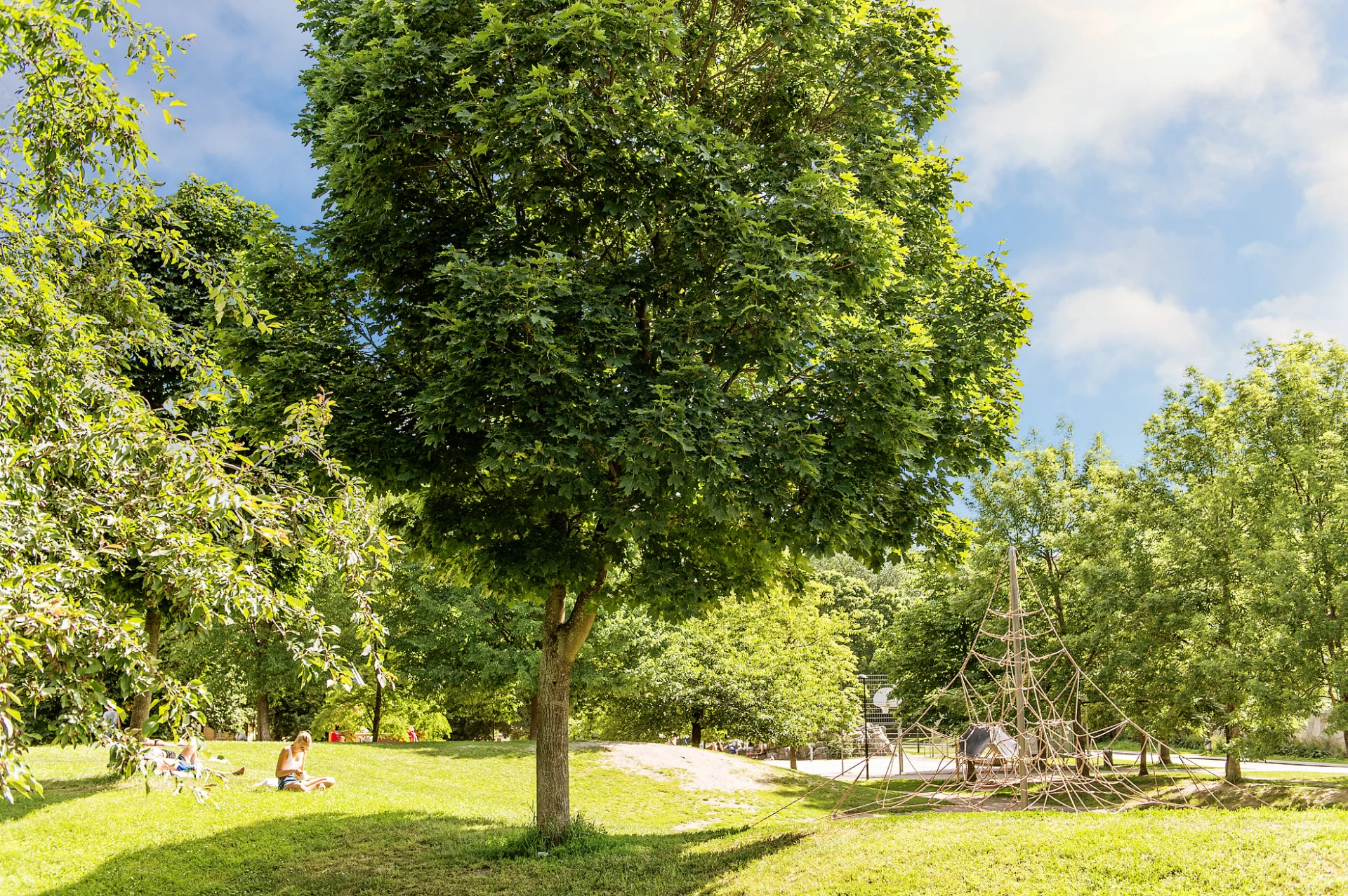 Rosenlundsparken