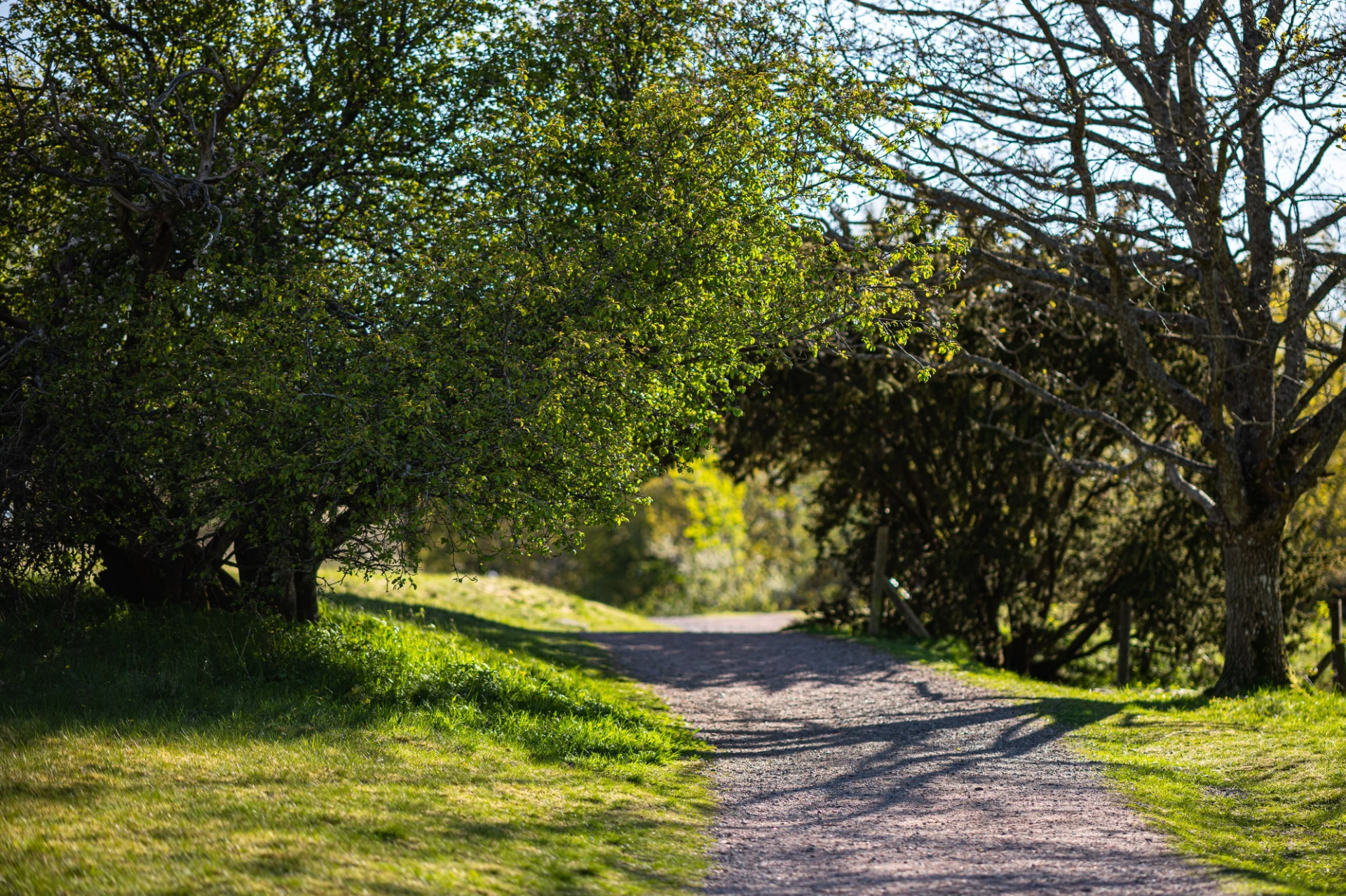 Härliga promenadslingor