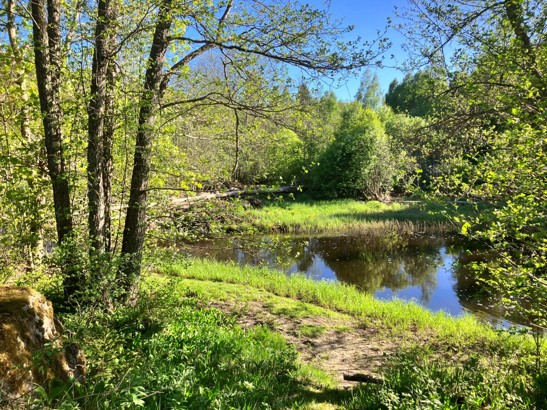 Säljaren egen bild