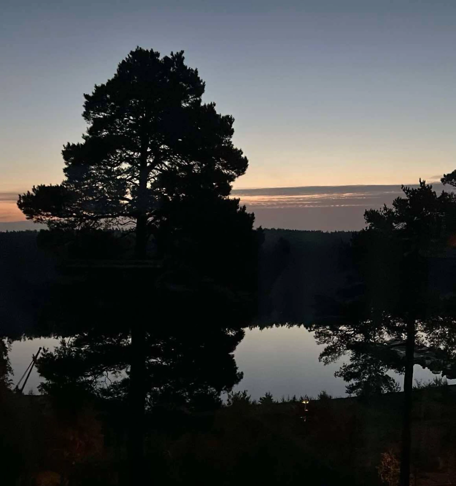 Säljarens egen bild