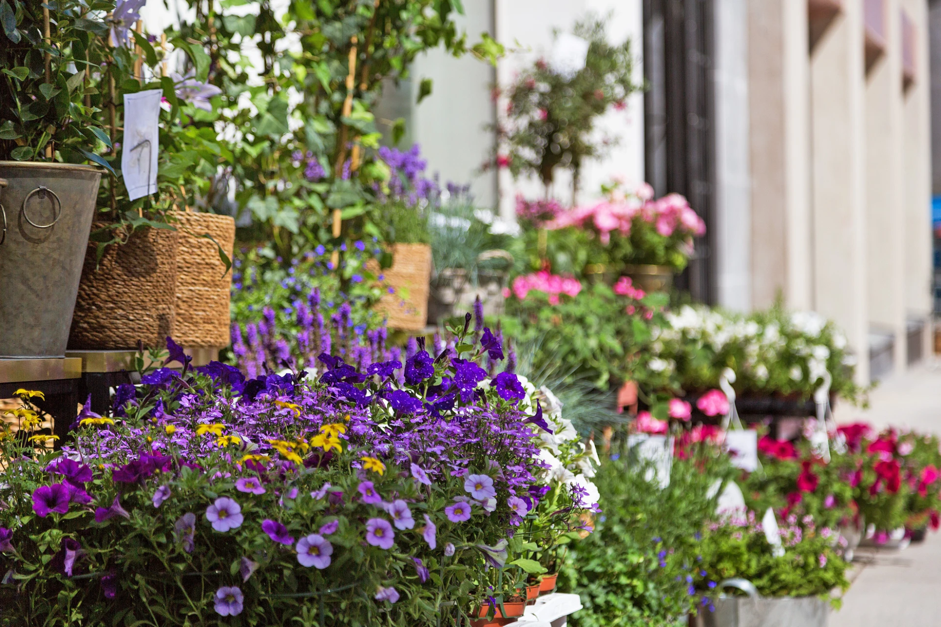 Torsplan blomsterburtik