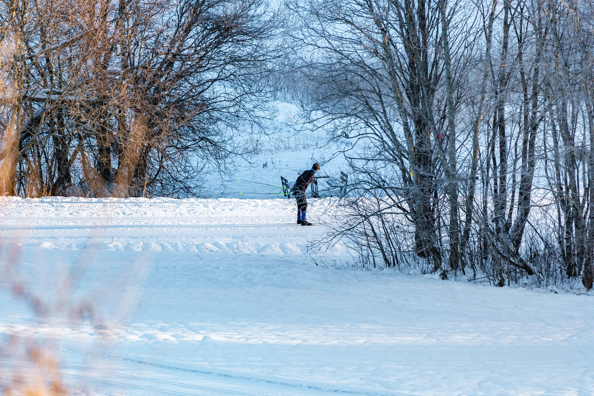 Skidspår runt Sidsjön