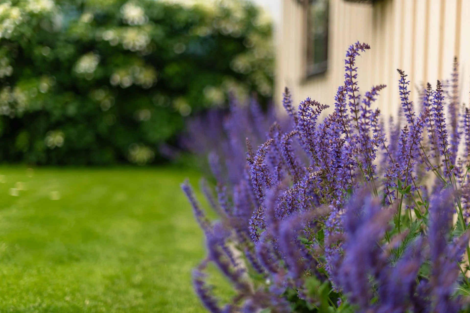 Detaljbild