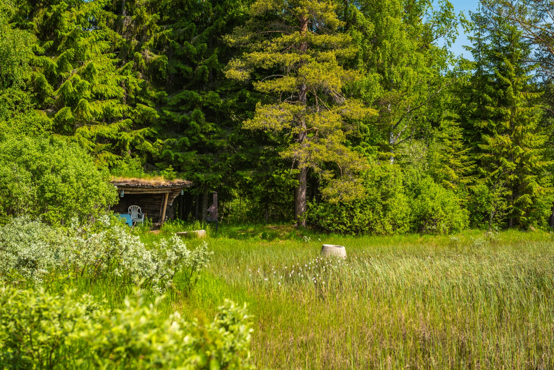 Vindskyddet vid sjön