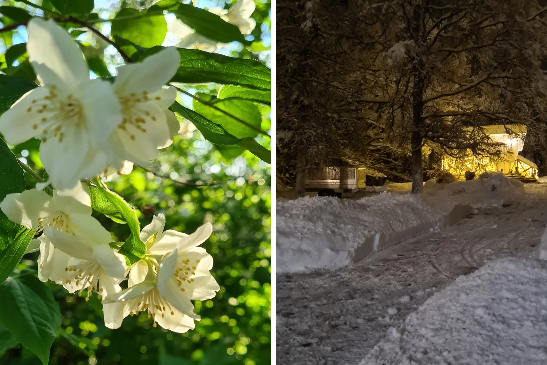 Säljarens bilder