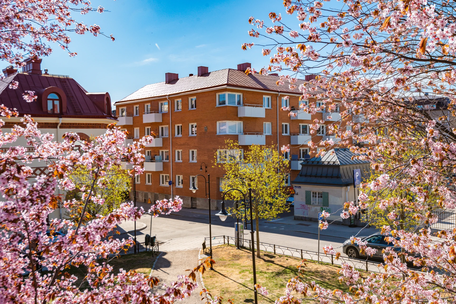 Hedbergska parken