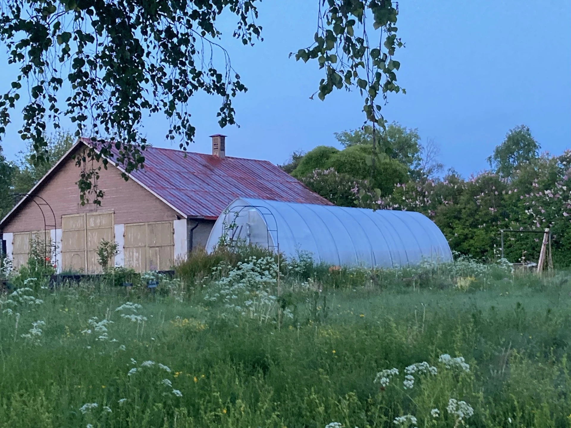 Säljarens egen bild